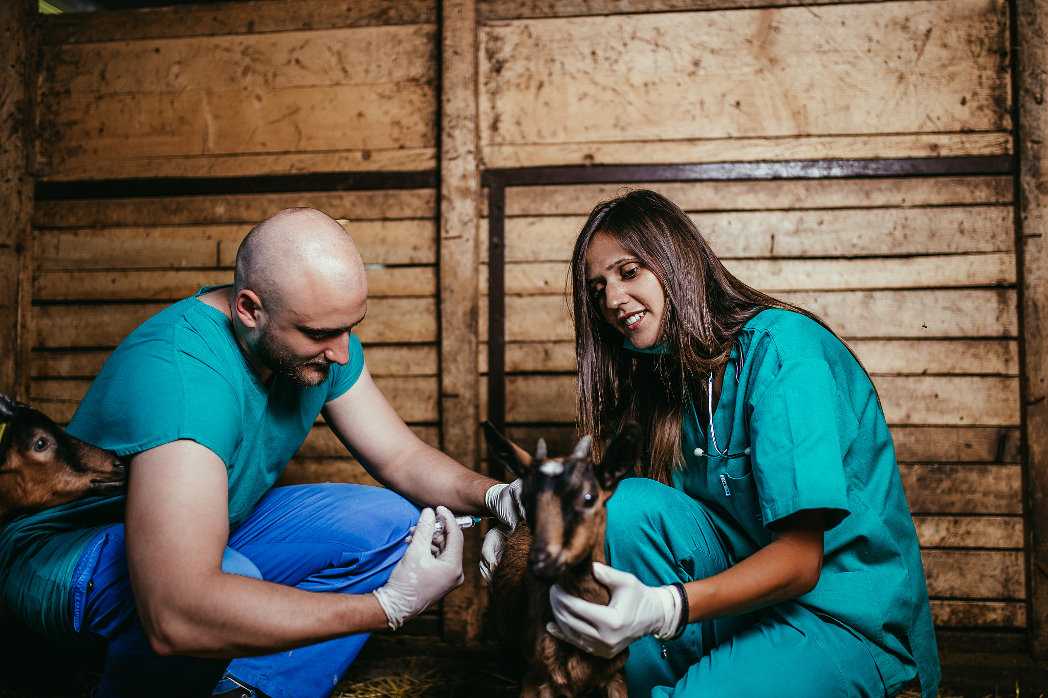 畜禽生产与疾病防治专业发展前景如何