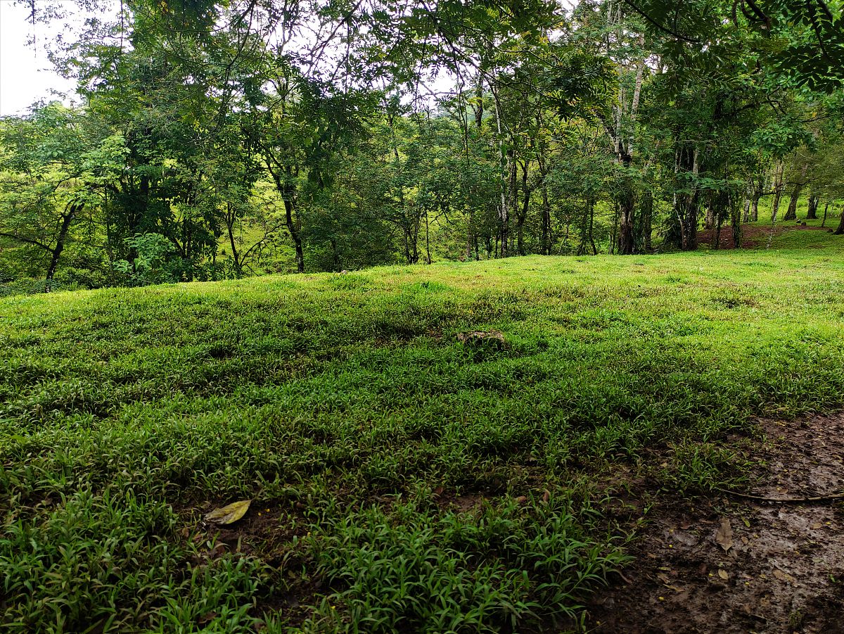 写一首表达愉快情绪的中文古典歌曲歌曲表达的主题为环保歌词结构为verse1、verse2、Pre-Chorus1、chorus1、chorus2、verse3、verse4、chorus3、Bridge1、chorus4并确保chorus1、chorus2、chorus3、chorus4、verse5、Pre-Chorus2、chorus5、Bridge2、歌词不重复每段歌词结尾使用中文ayawa