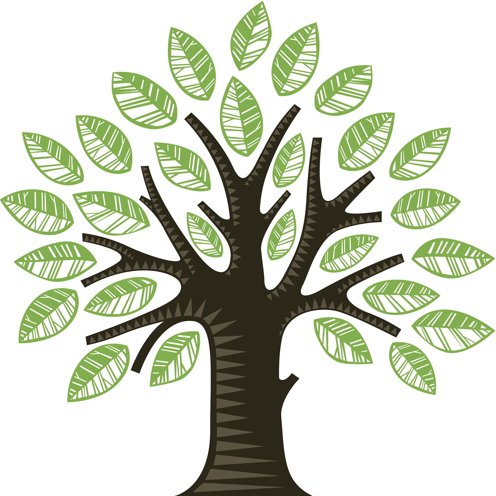 square tree.