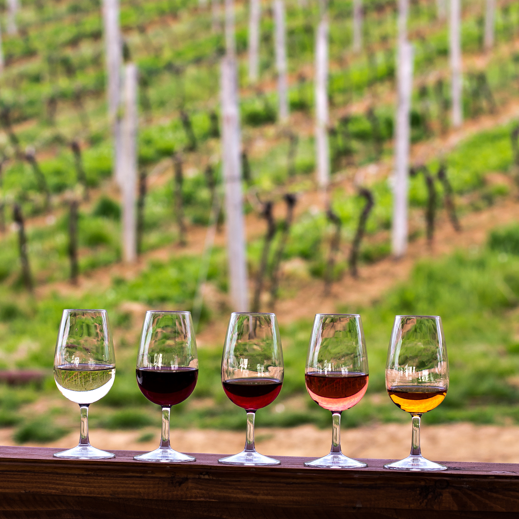 天山北麓半甜红葡萄酒直播话术：品鉴醇厚甜美，开启味蕾之旅！