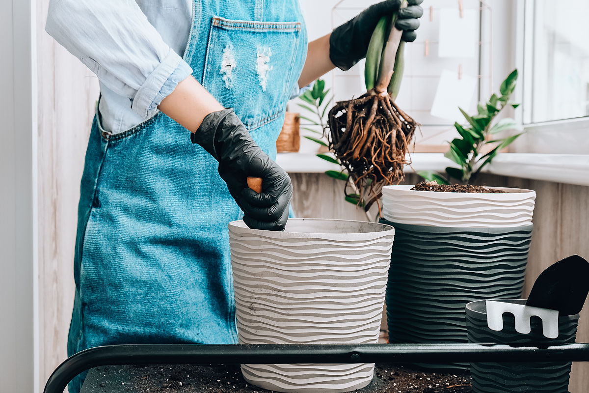 金铲铲吃分阵容推荐：最强阵容解析及搭配技巧