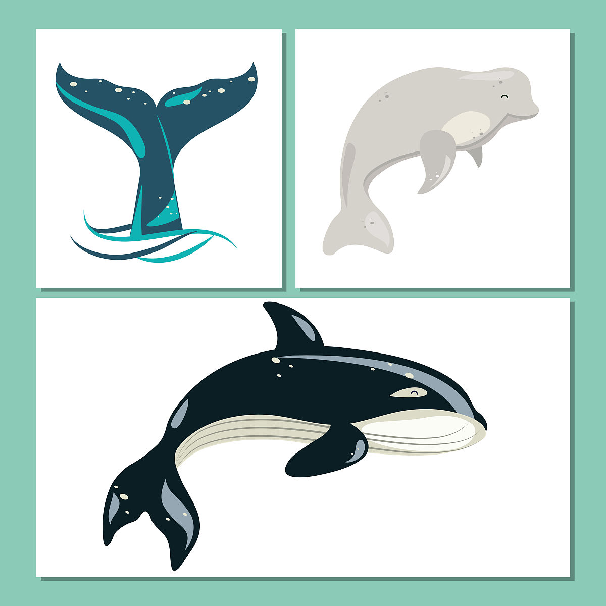 青岛市海洋生物制品研发建议：促进经济发展，满足健康需求