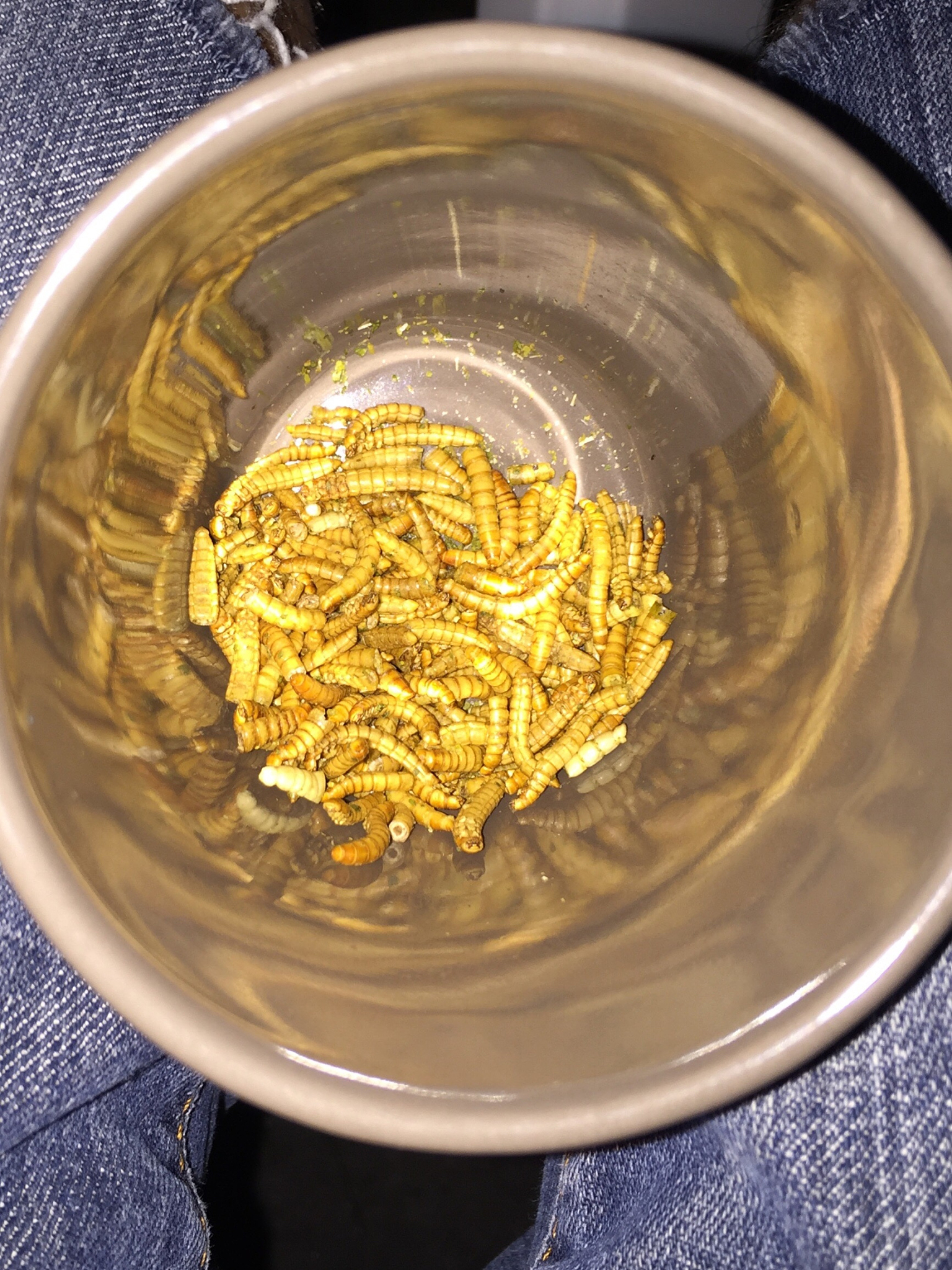 空心金子瘪了怎么办？快速急救方法！