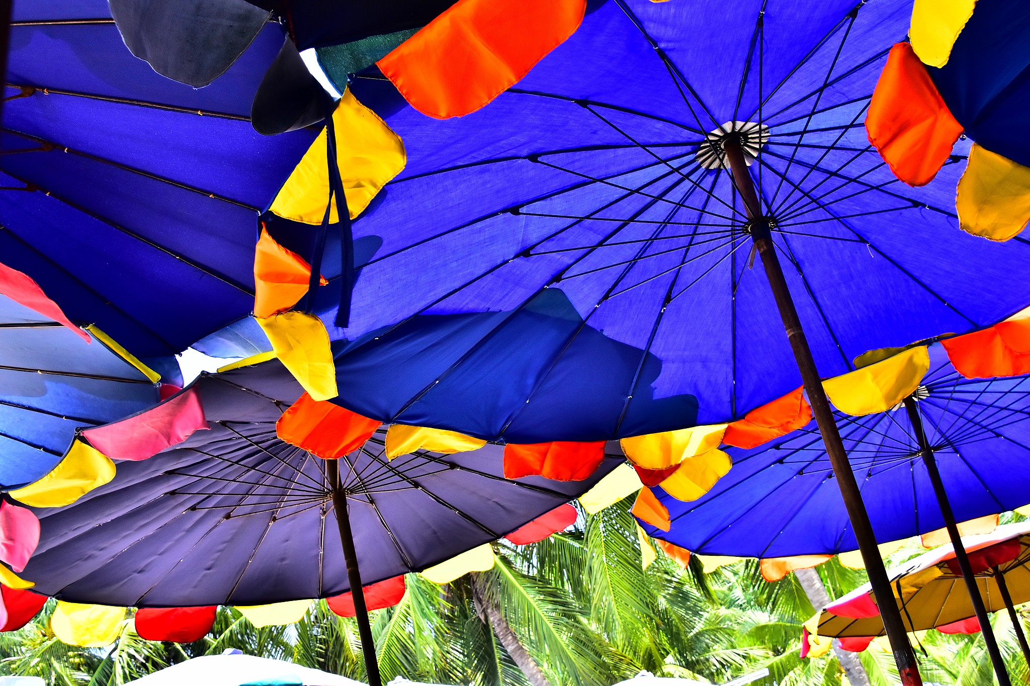 low angle view of colorful parasols at cafe