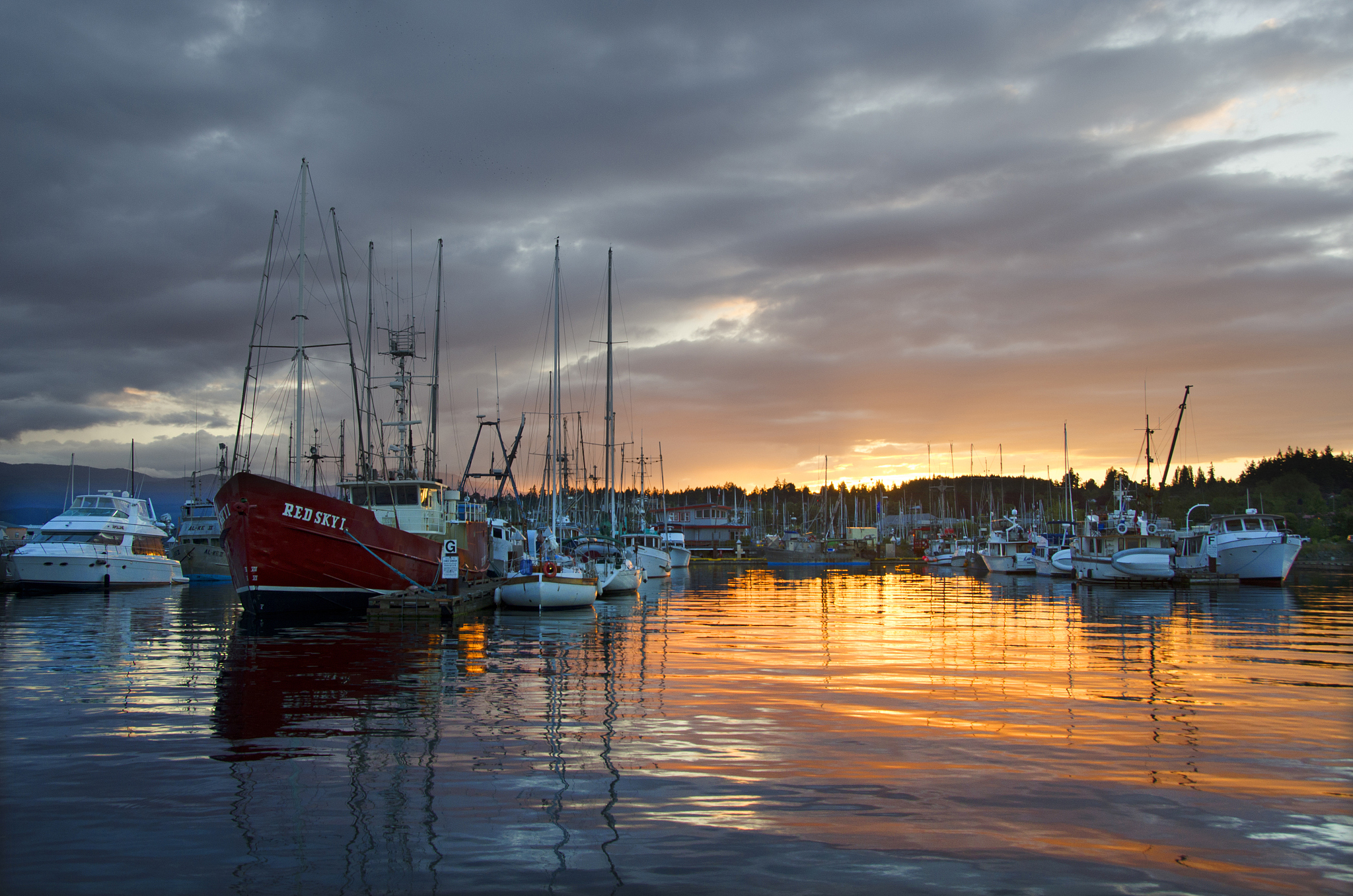 comox boat harbor