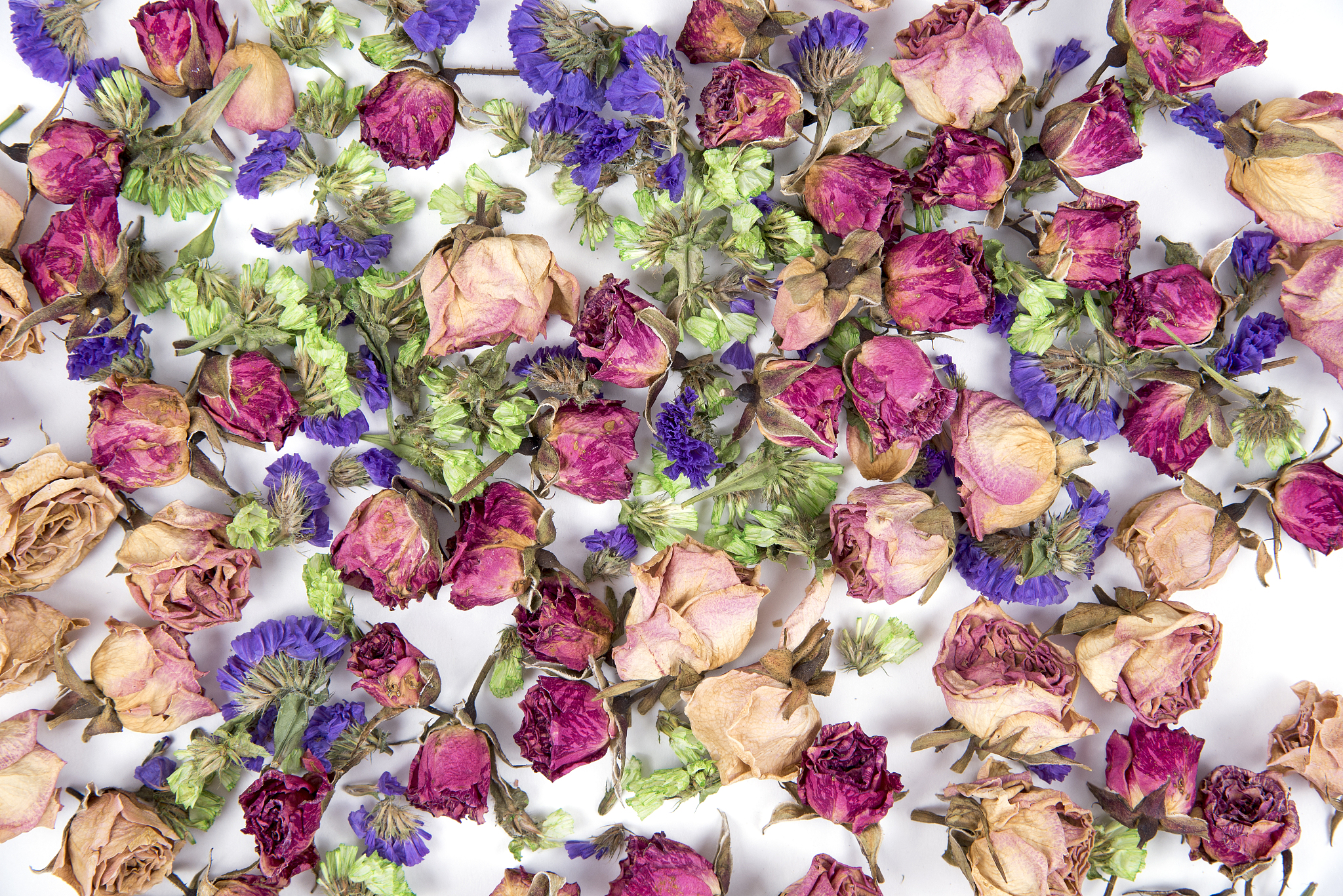 鲜花脱水保色保形干燥加工方法 - 延长鲜花寿命，保持美丽