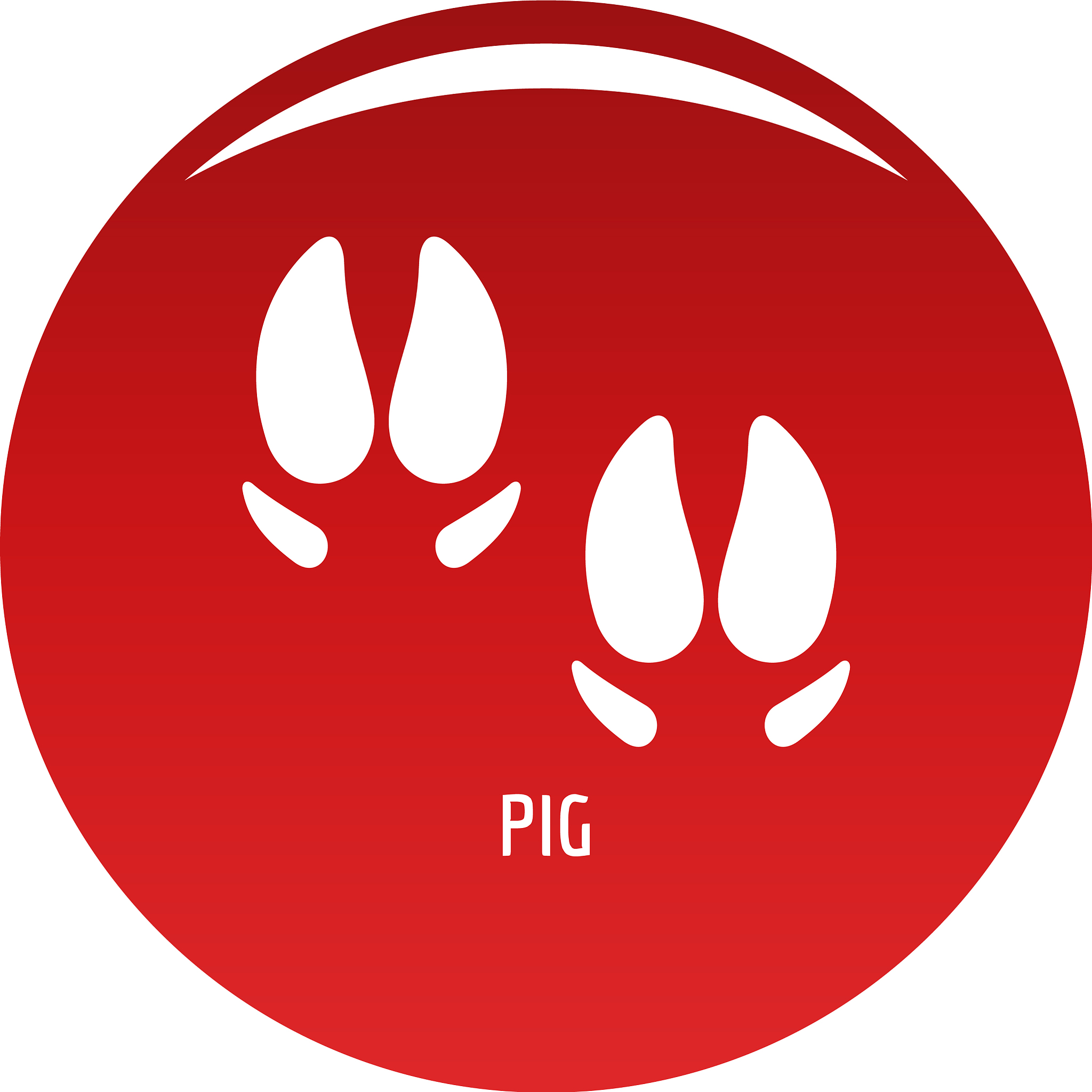 为什么有的猪肉盖红章,有的盖蓝章，