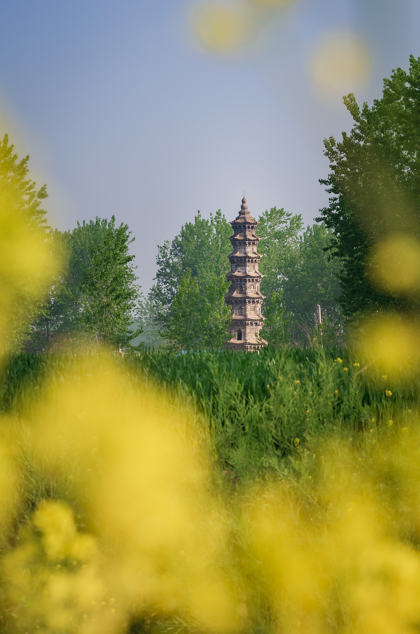 文物保护技术专业就业前景