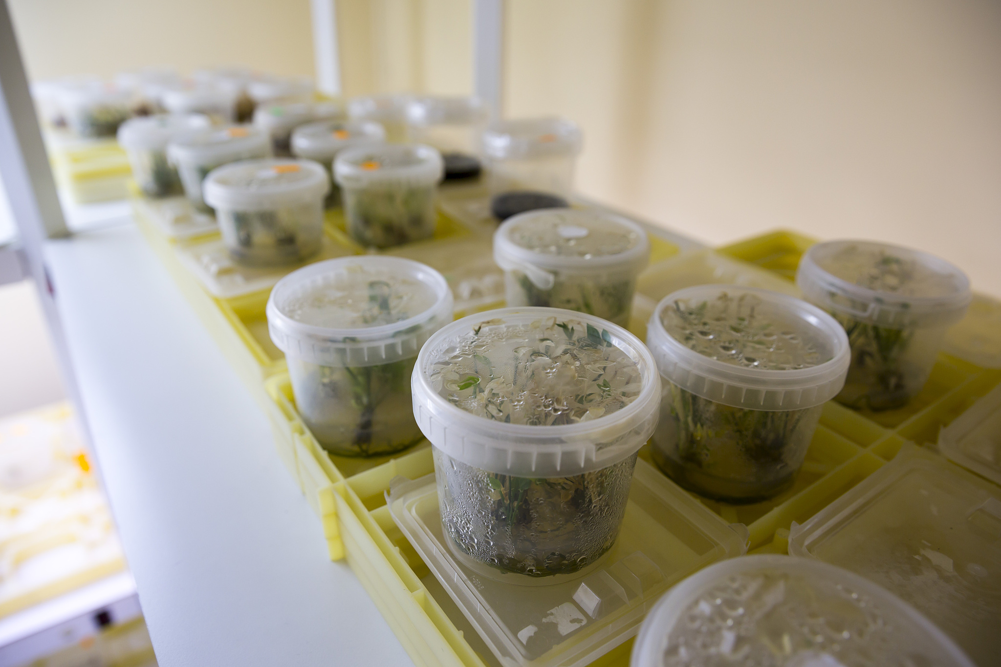 2022年吉林化工学院招生简章 - 化学专业未来等你