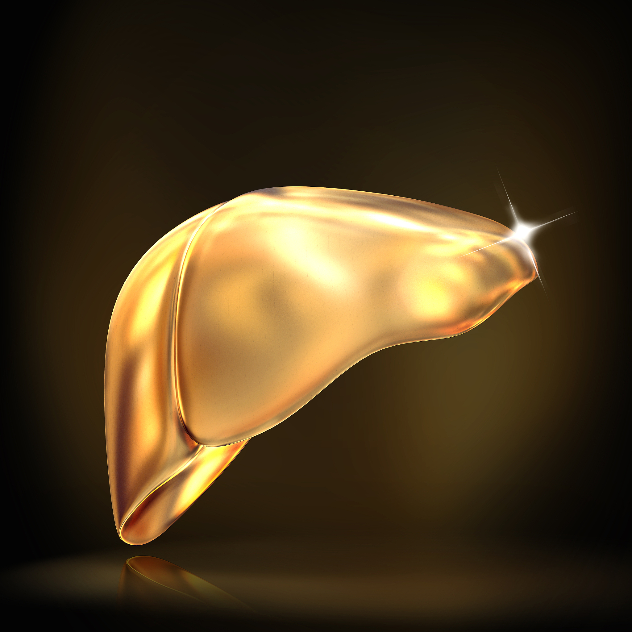 肝脏特点和功能有哪些？写一篇1000字的科普书语言生动幽默有趣