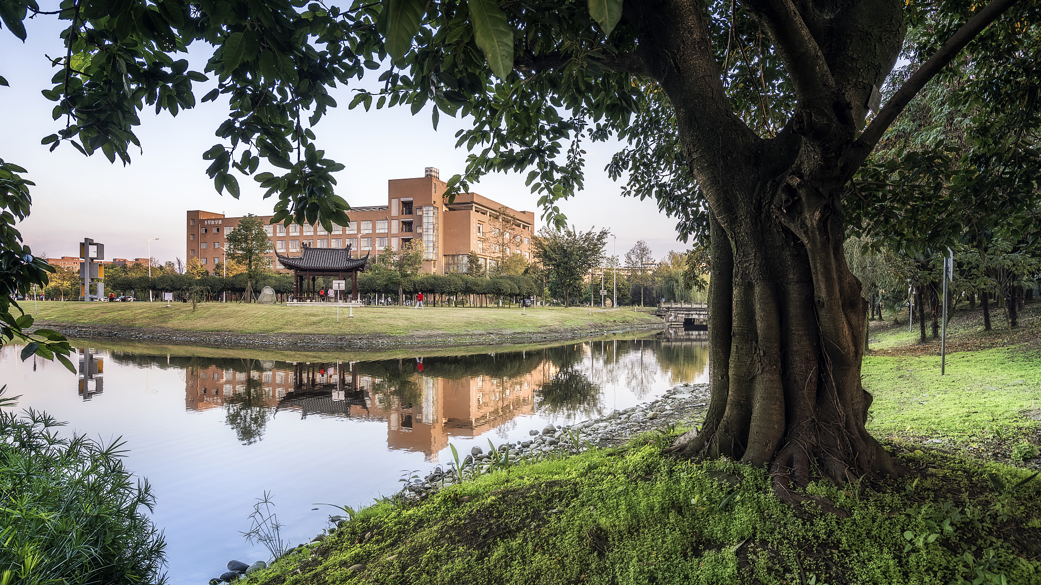 福建农林大学金山学院交通工程专业怎么样？ - 深入了解城市交通发展