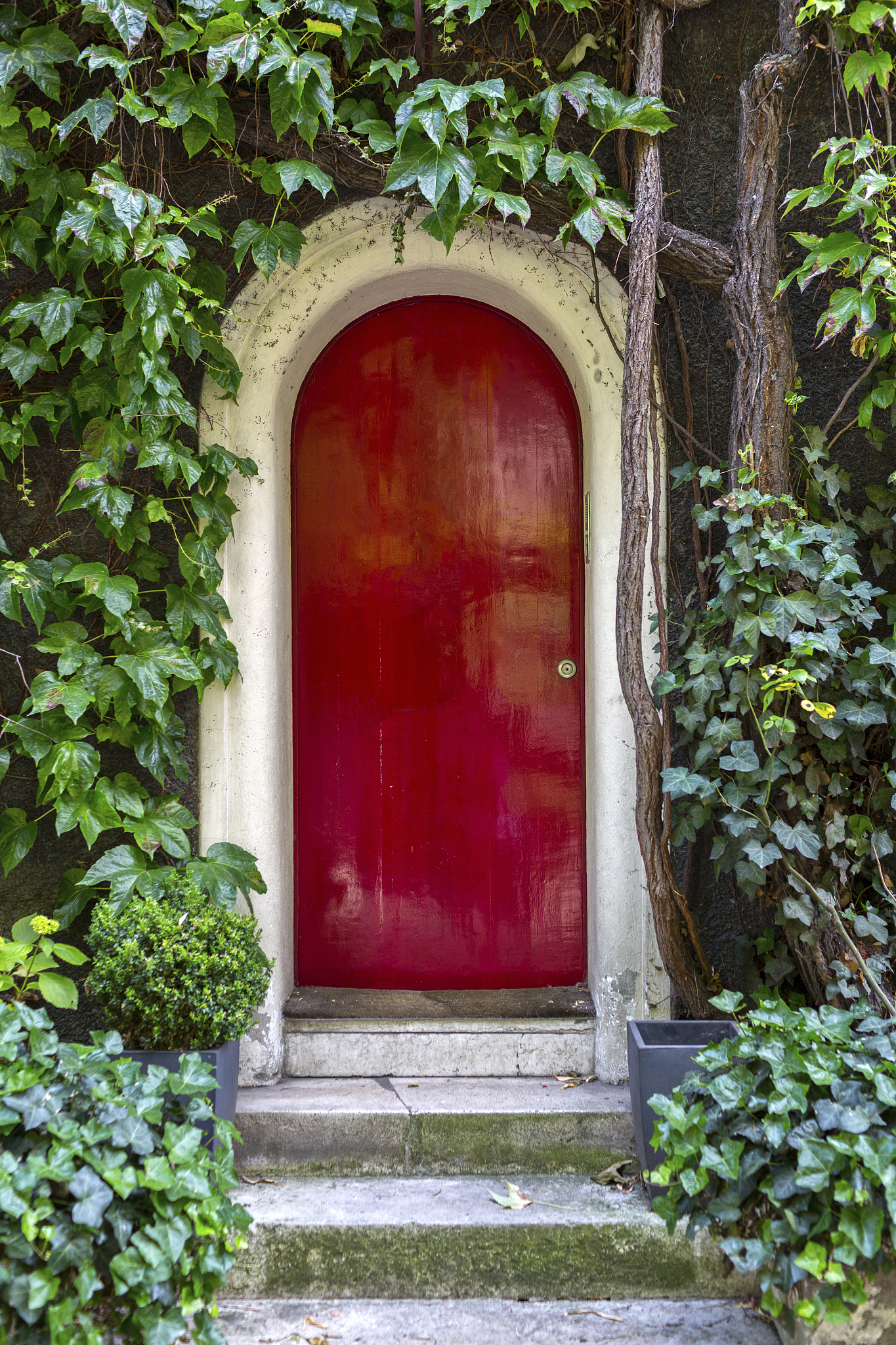 用一段话描写一栋黄色的瓦顶、红色大门的洋馆豪宅四周的墙壁覆盖爬藤类植物