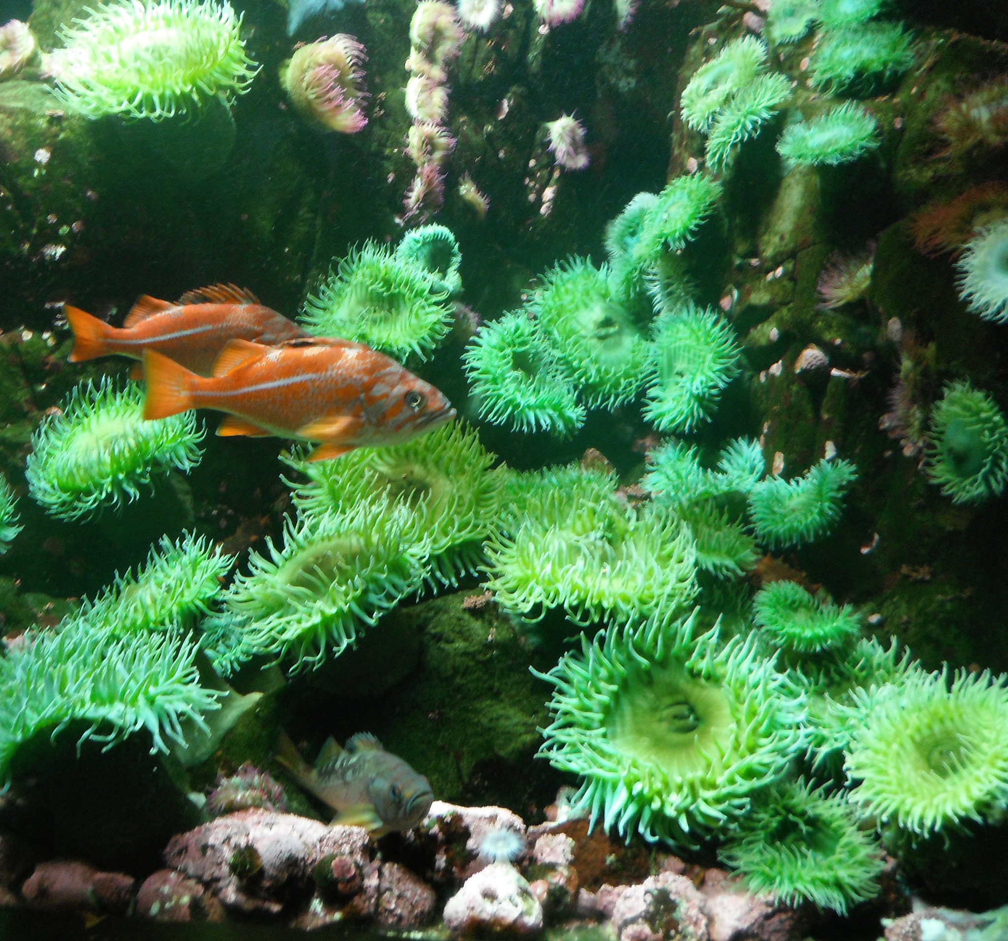 什么东西可以遇水