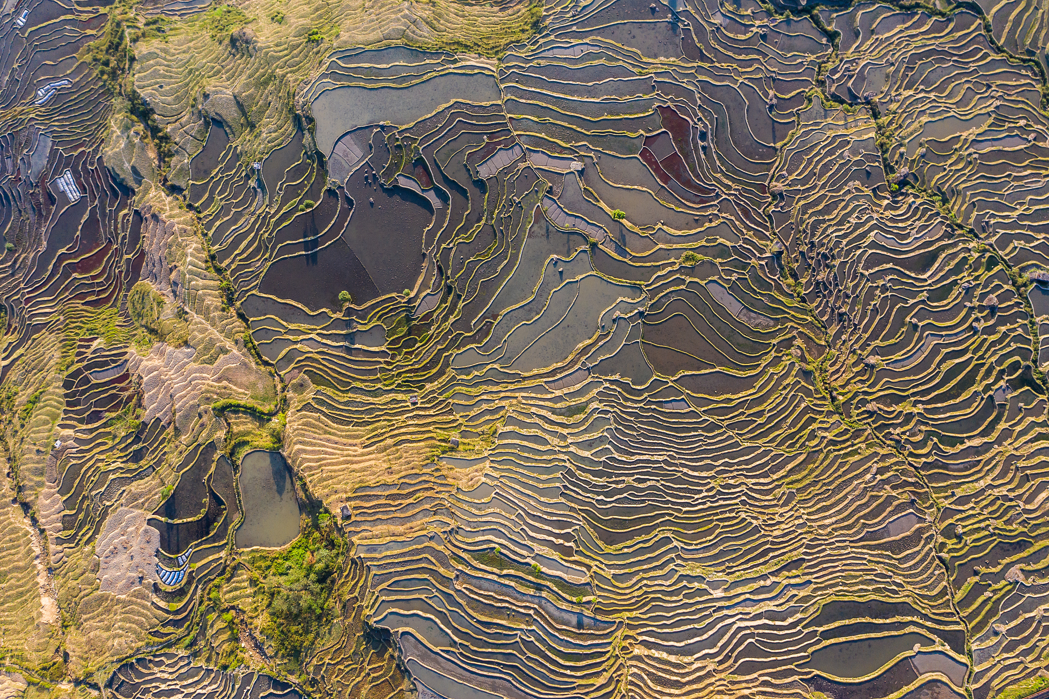 Chinese Calligraphy: A Unique and Unparalleled Art Form