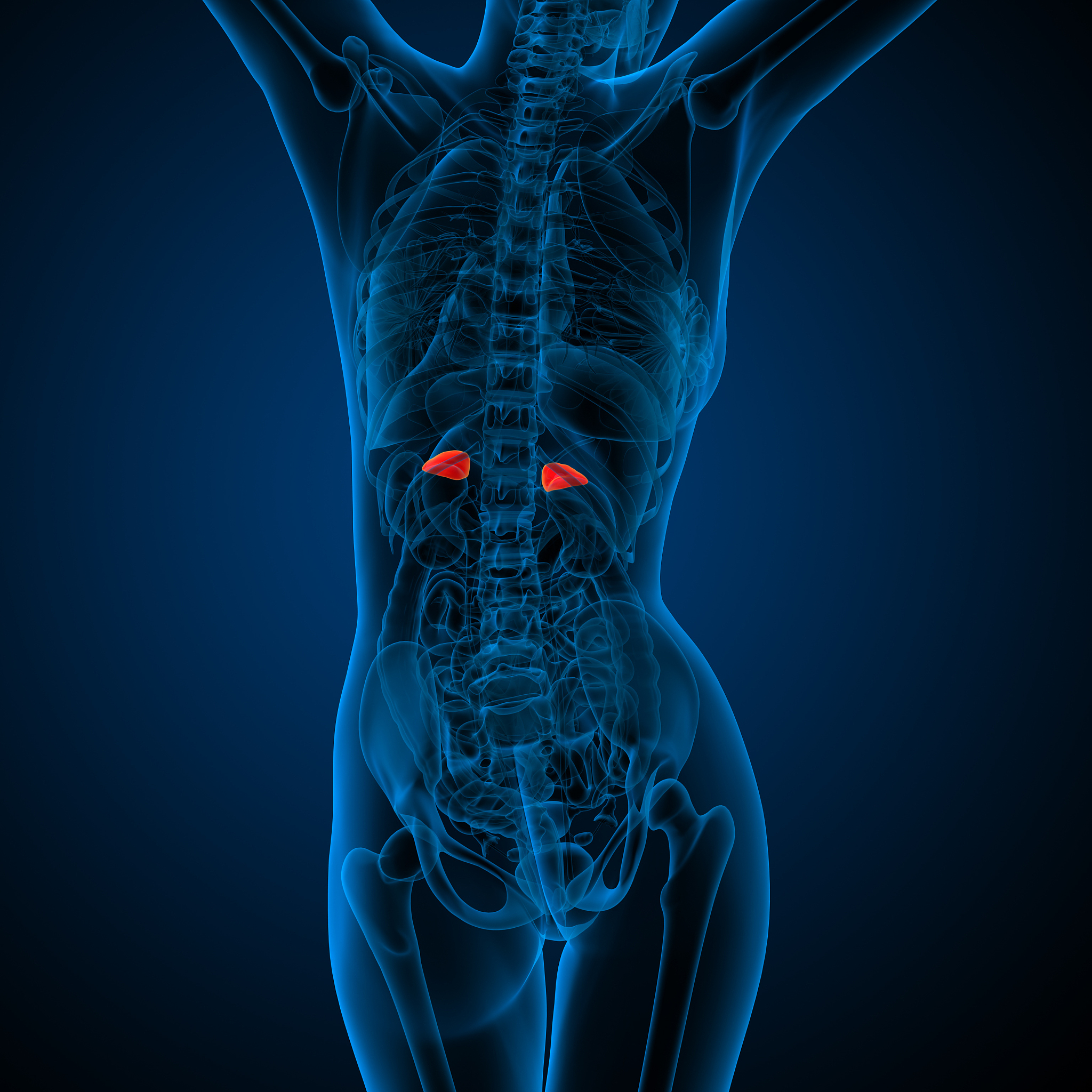 肾上腺功能不全是什么？3个答案优中差排序 - 肾上腺皮质功能不全 - 艾迪生氏病