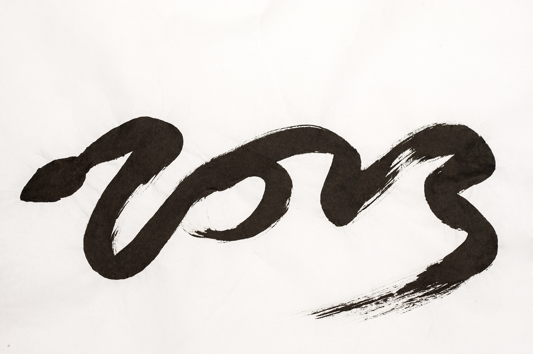 新年,蛇年