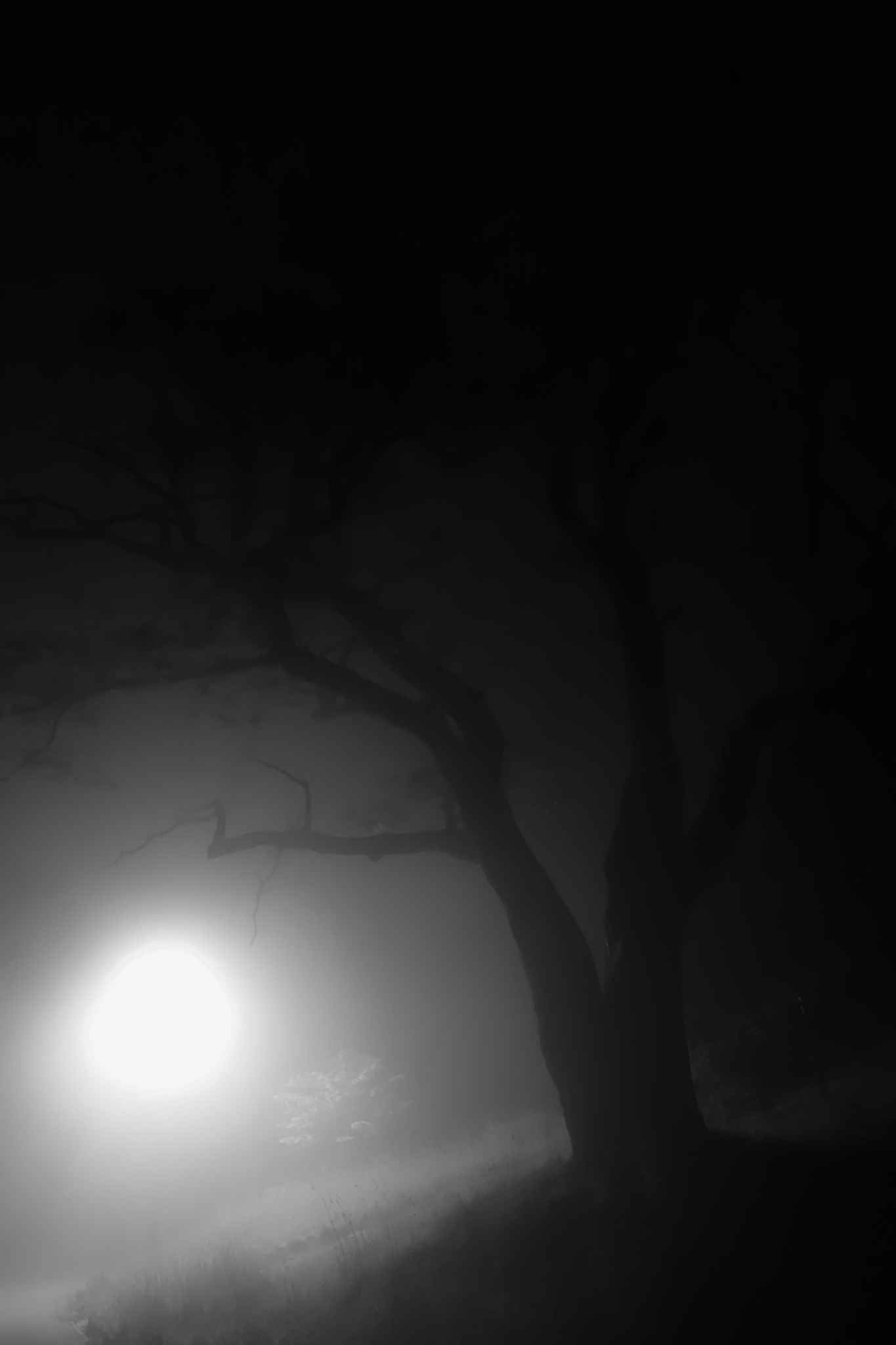 一抹黑是什么意思