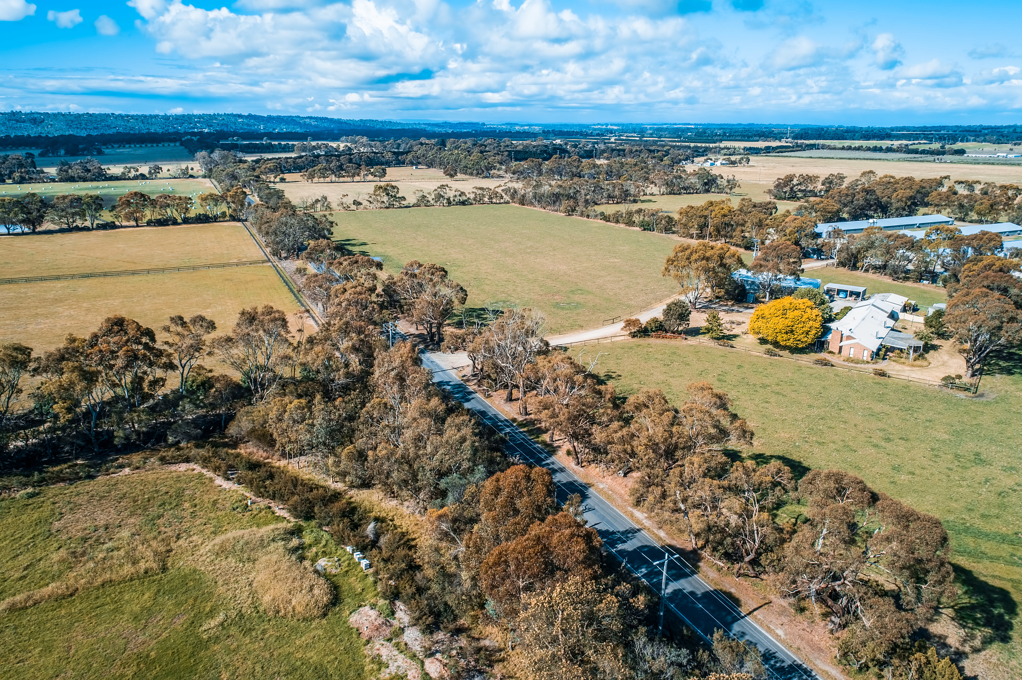high angle view of trees on field against sky