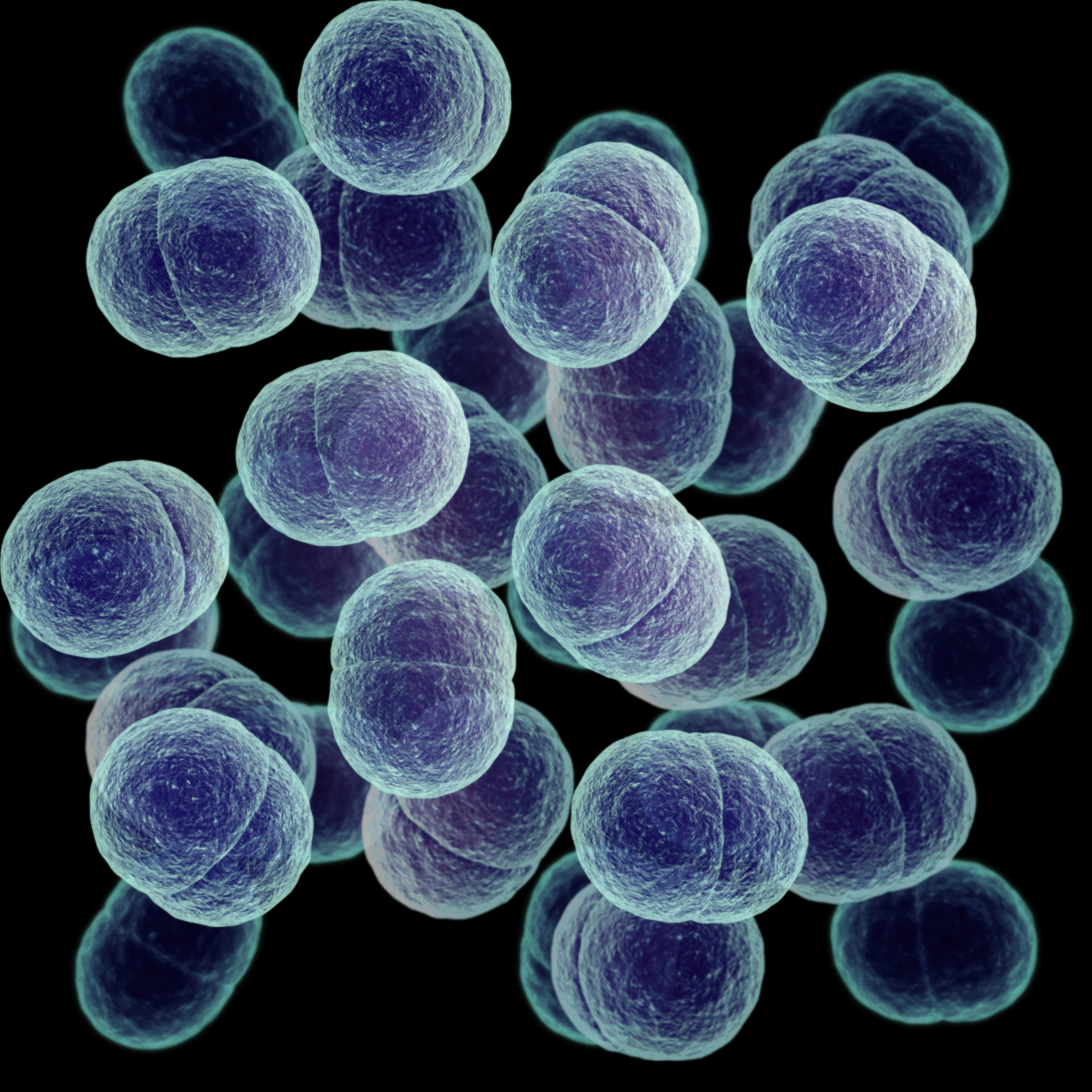 乳糖不发酵的都是非致病菌吗