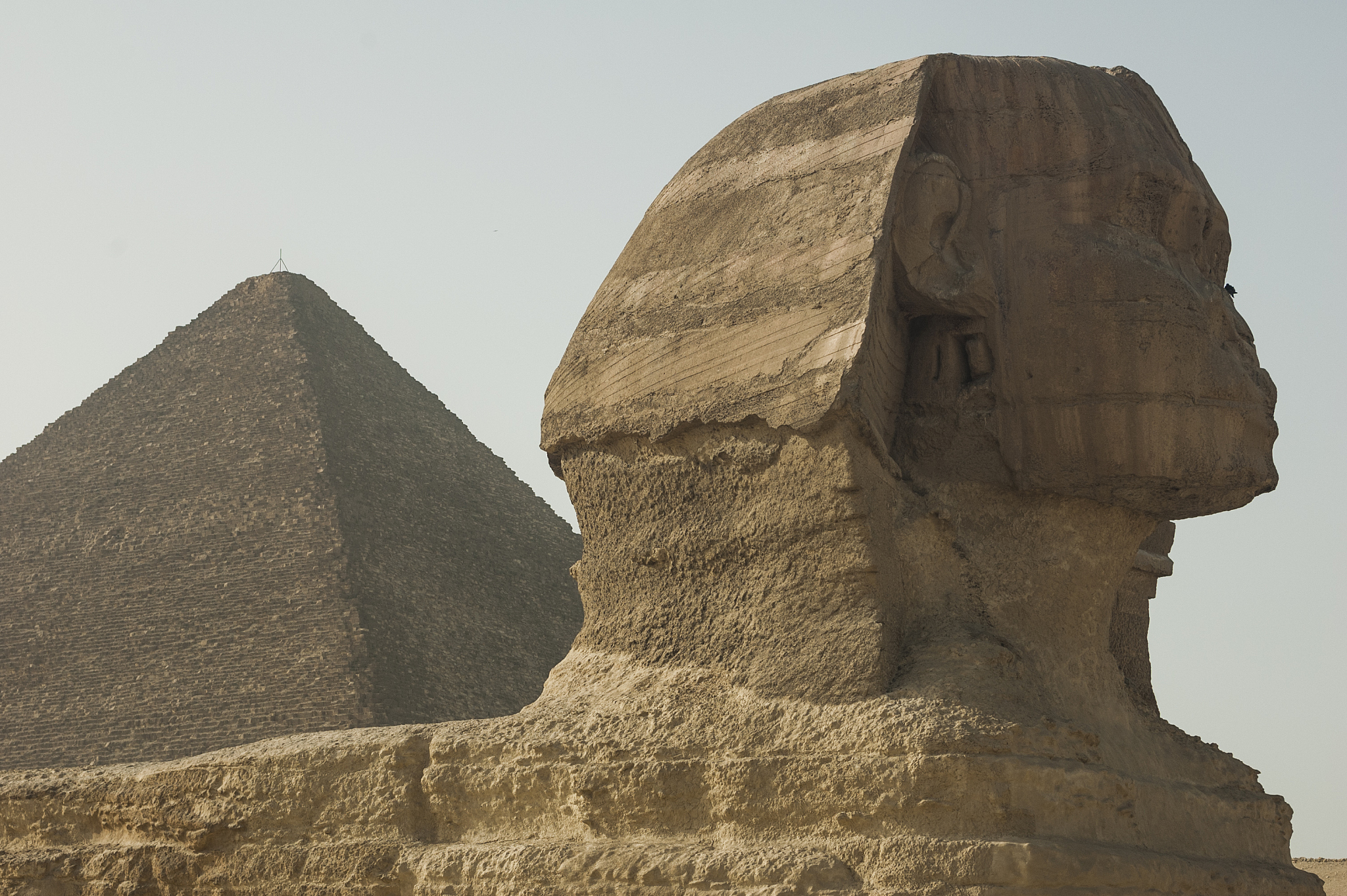 the sphinx