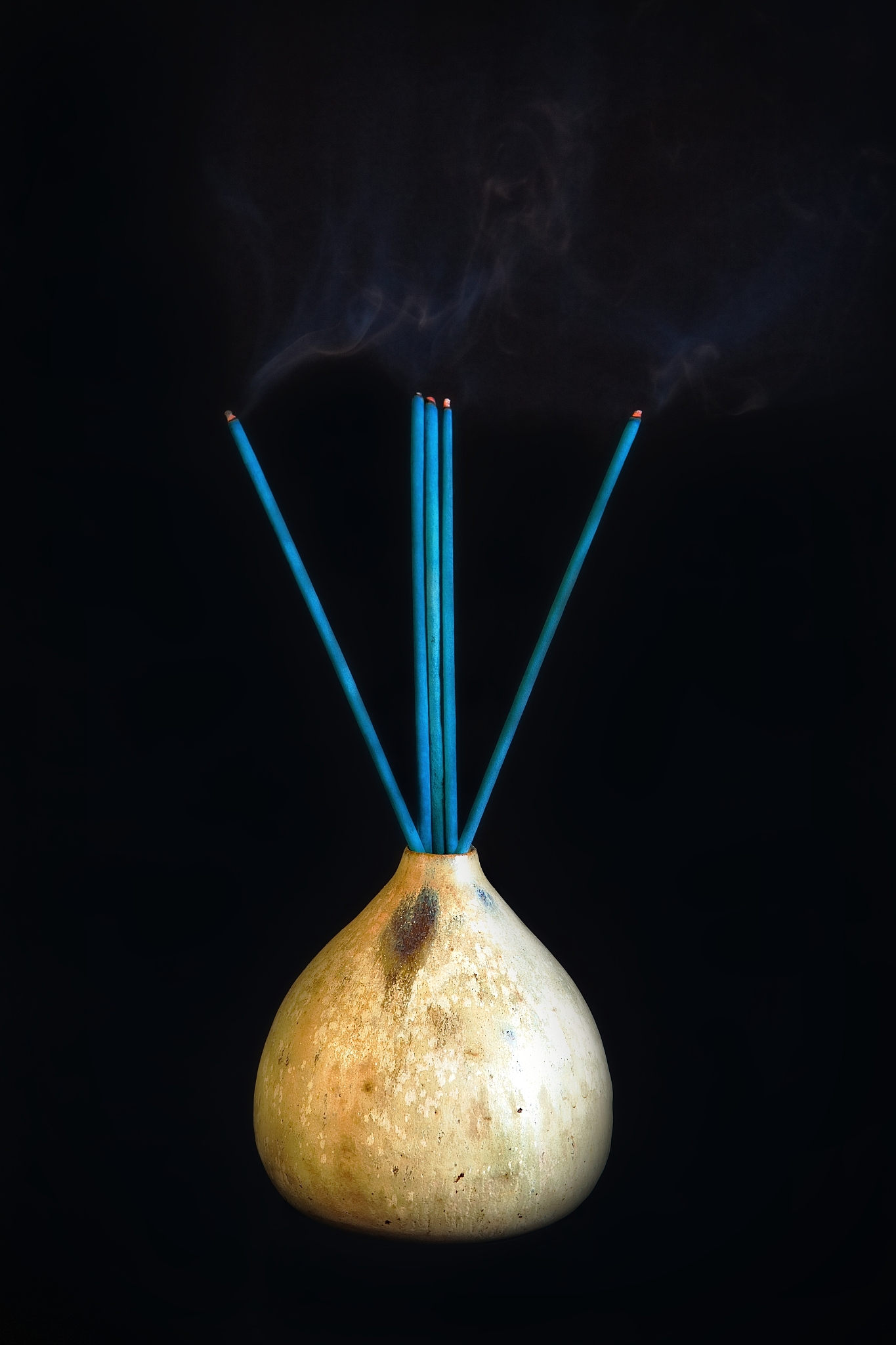 甘肃农业职业技术学院五年制大专2021年什么专业好就业