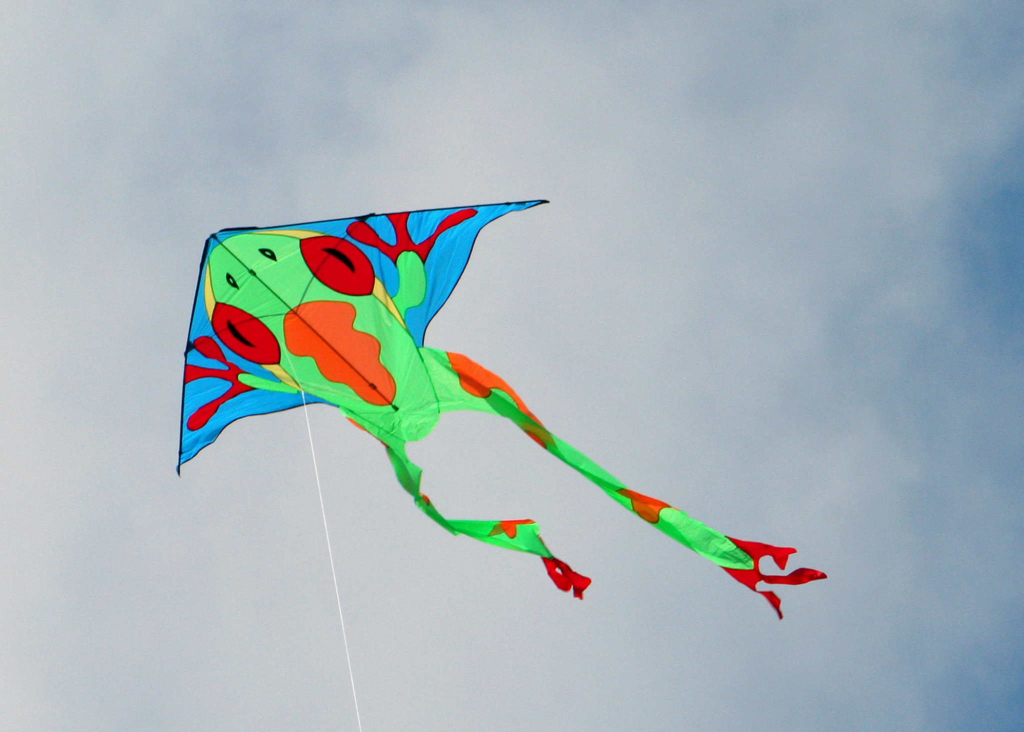 flying frog kite
