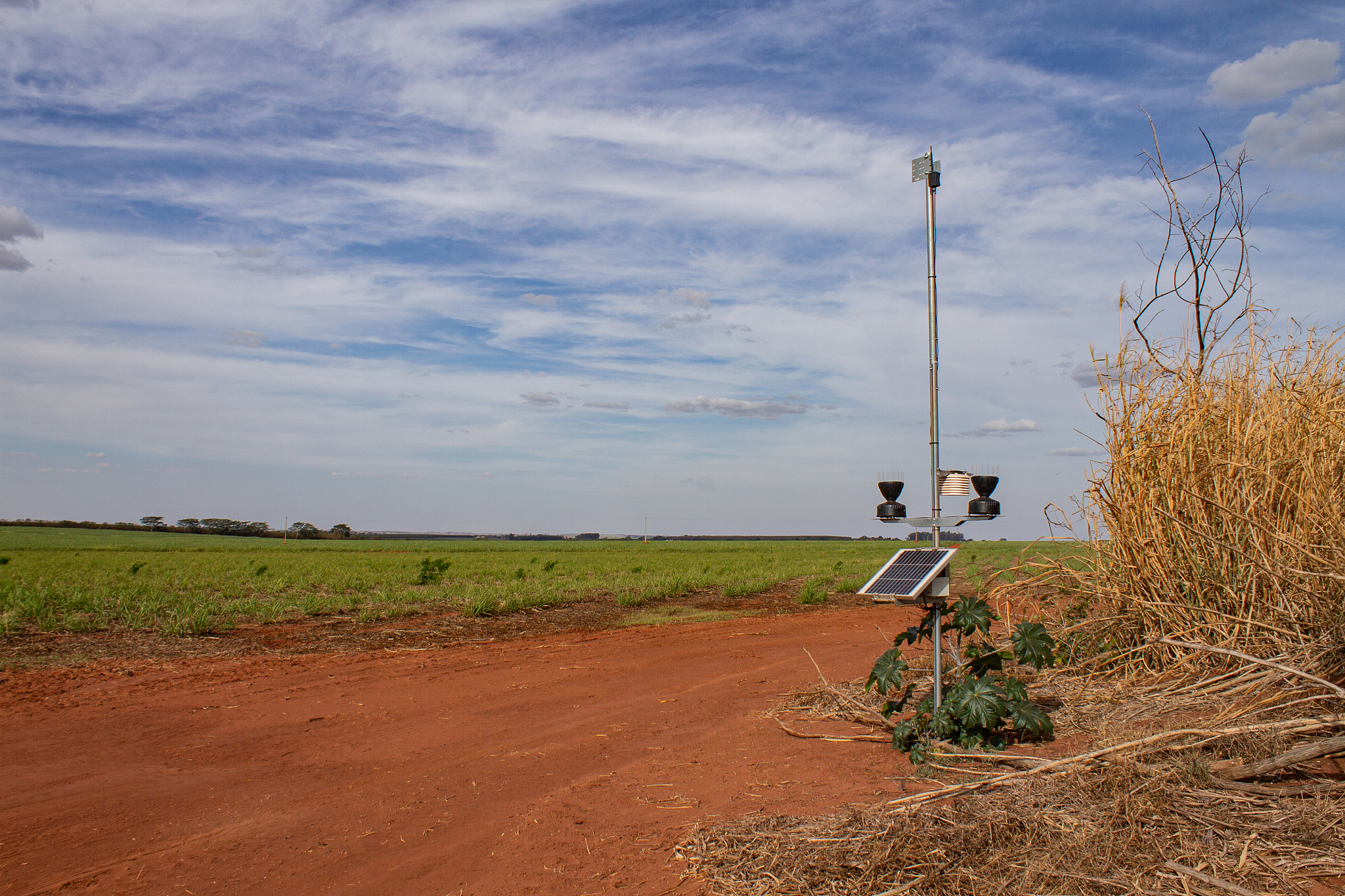 compact weather station on a farm