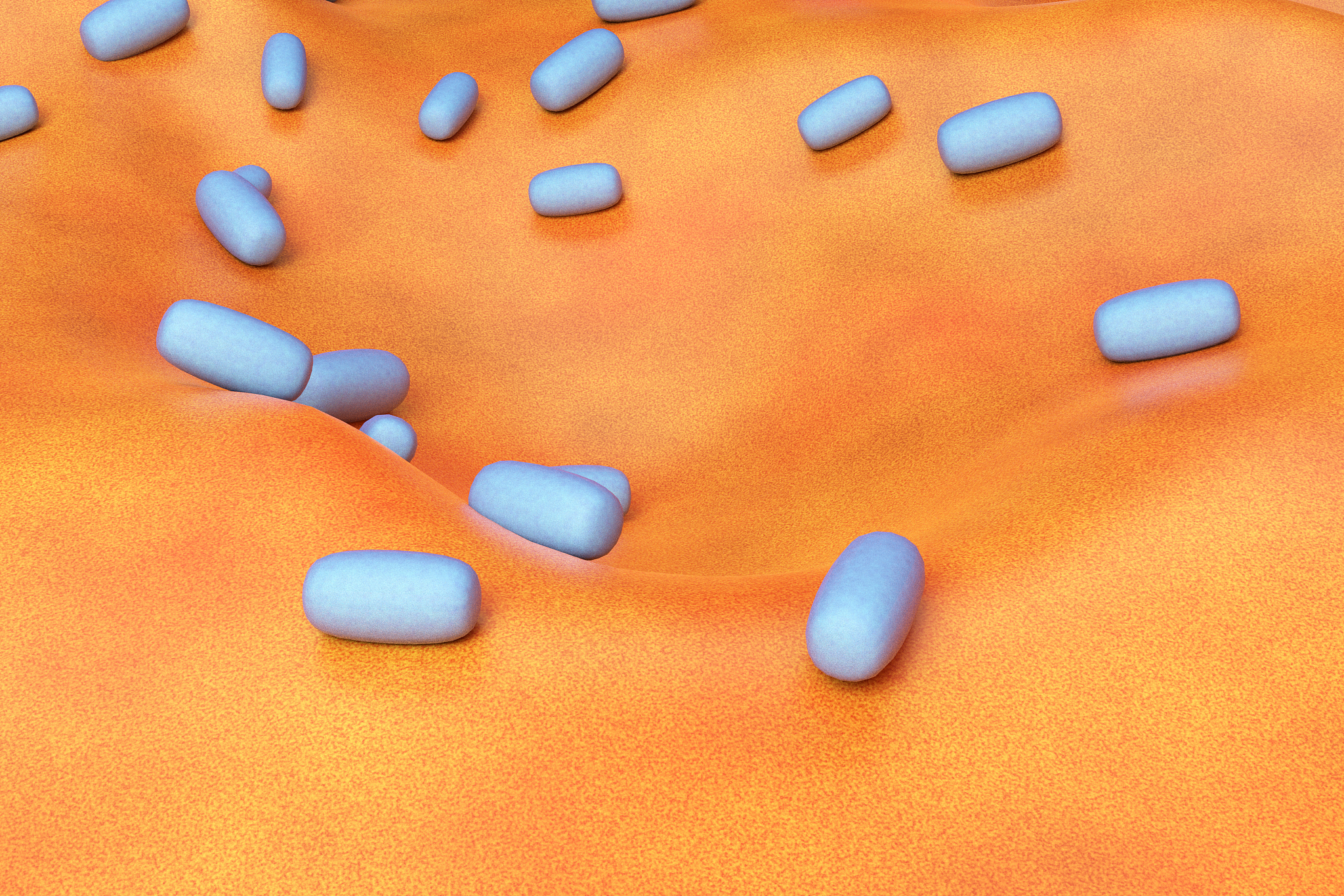 半夏内生菌的抗菌活性研究：发现潜在的天然药物来源