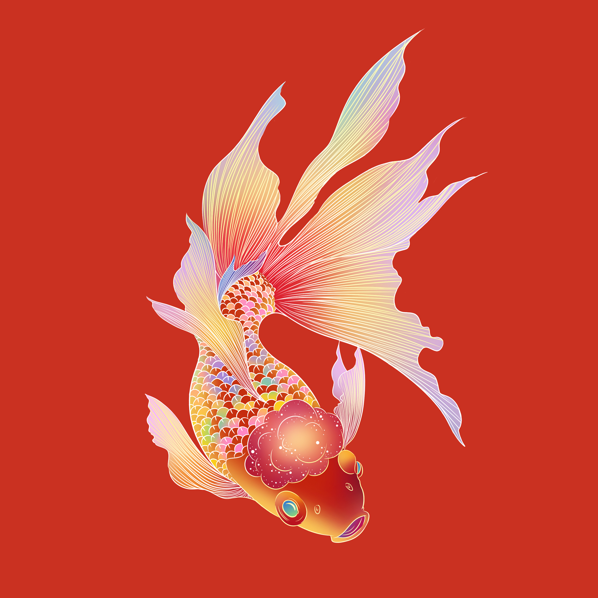 简单易明的锦鲤鱼广告词