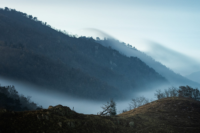 梦到喜欢的人被骗，要不要告诉她？
