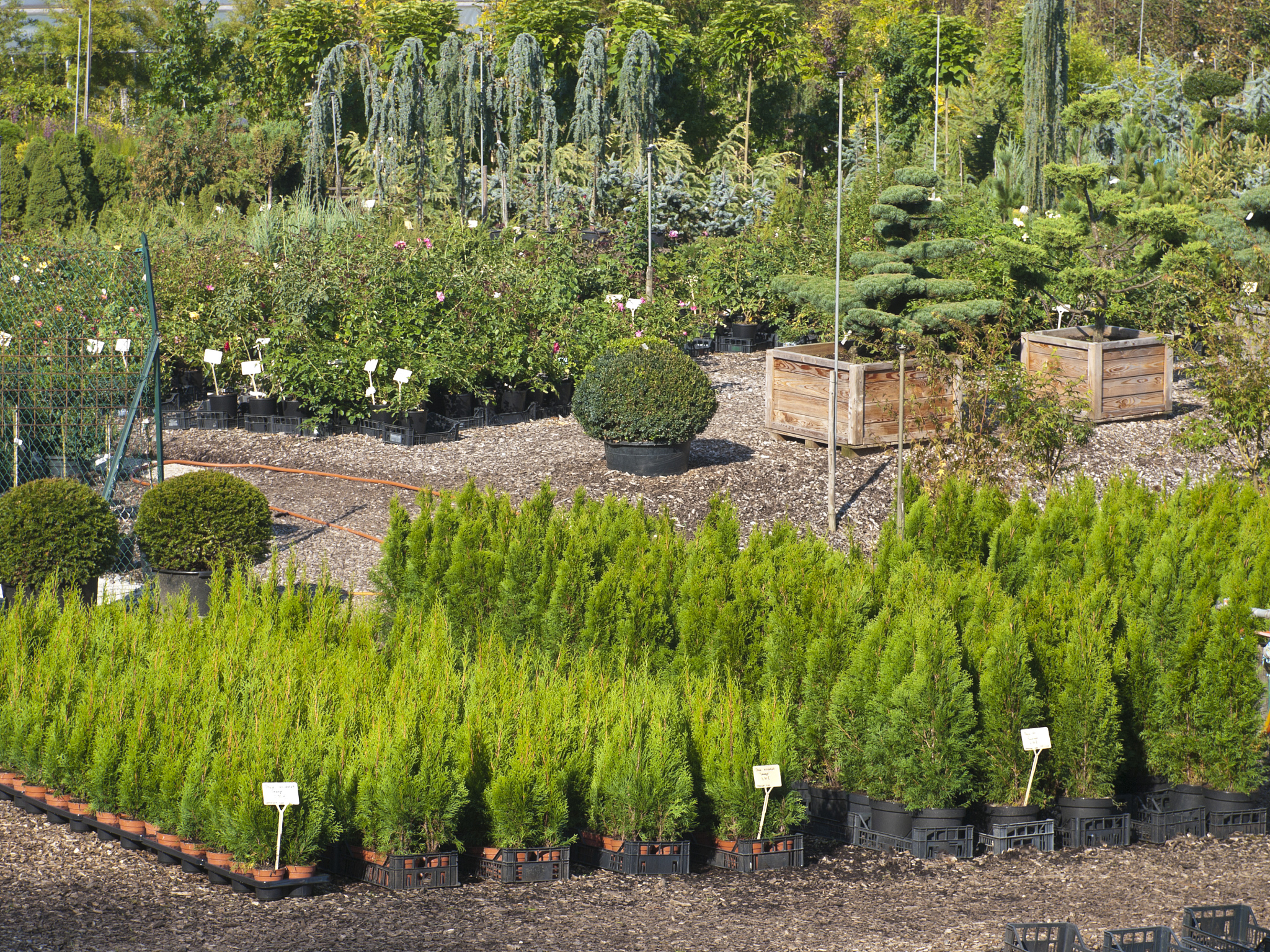 HORTICULTURE RESEARCH期刊：园艺研究领域权威期刊
