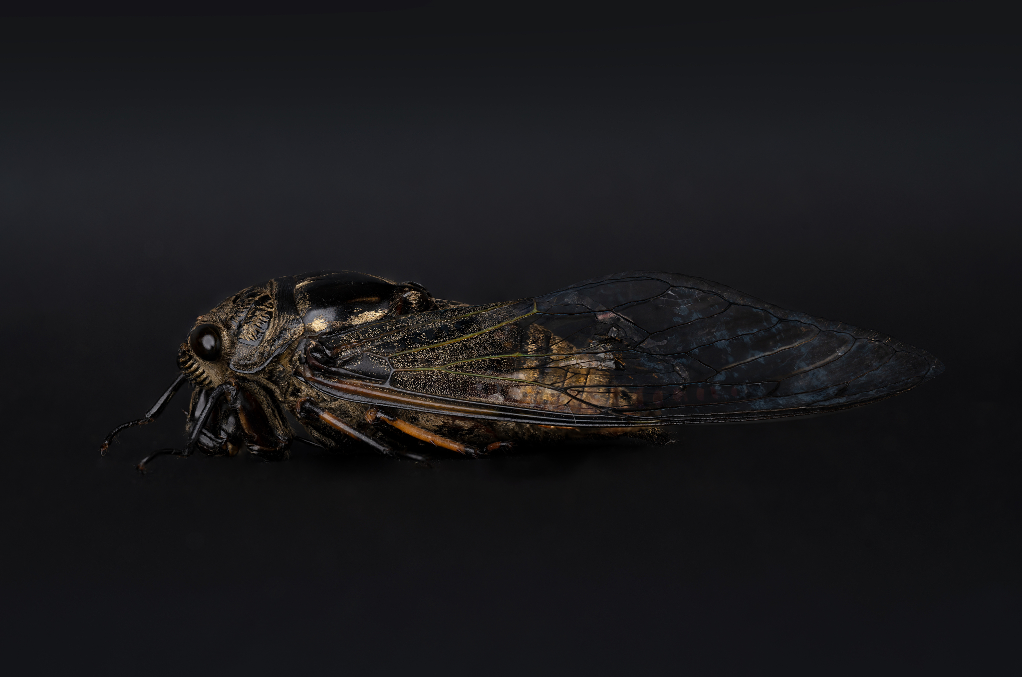 威海职业学院药品生物技术专业涉及哪些课程