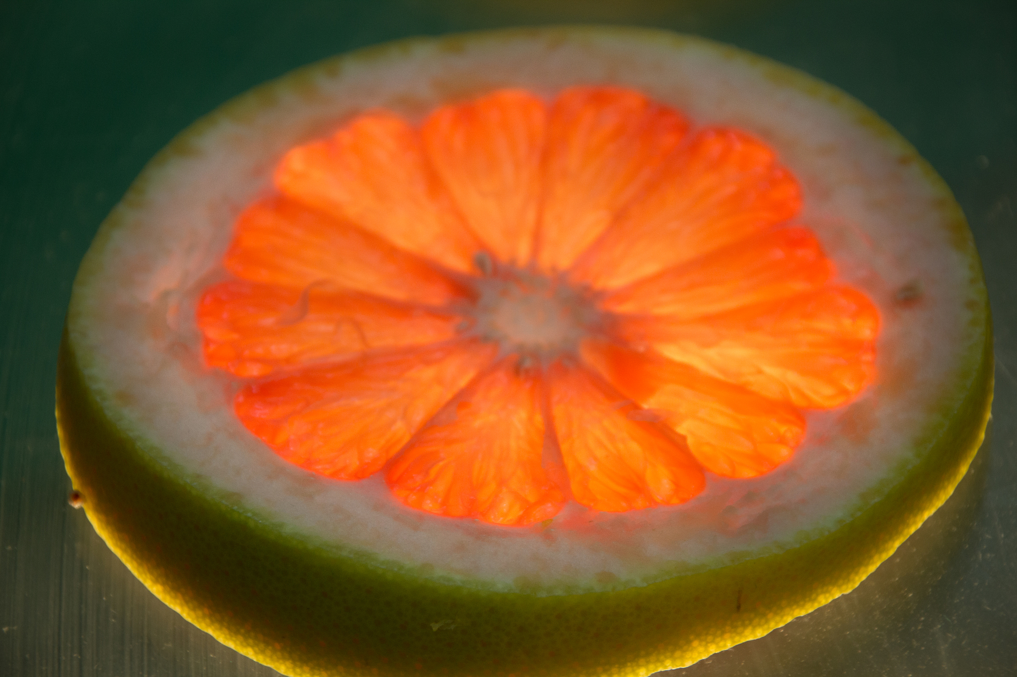 grapefruit slice on lighted glass