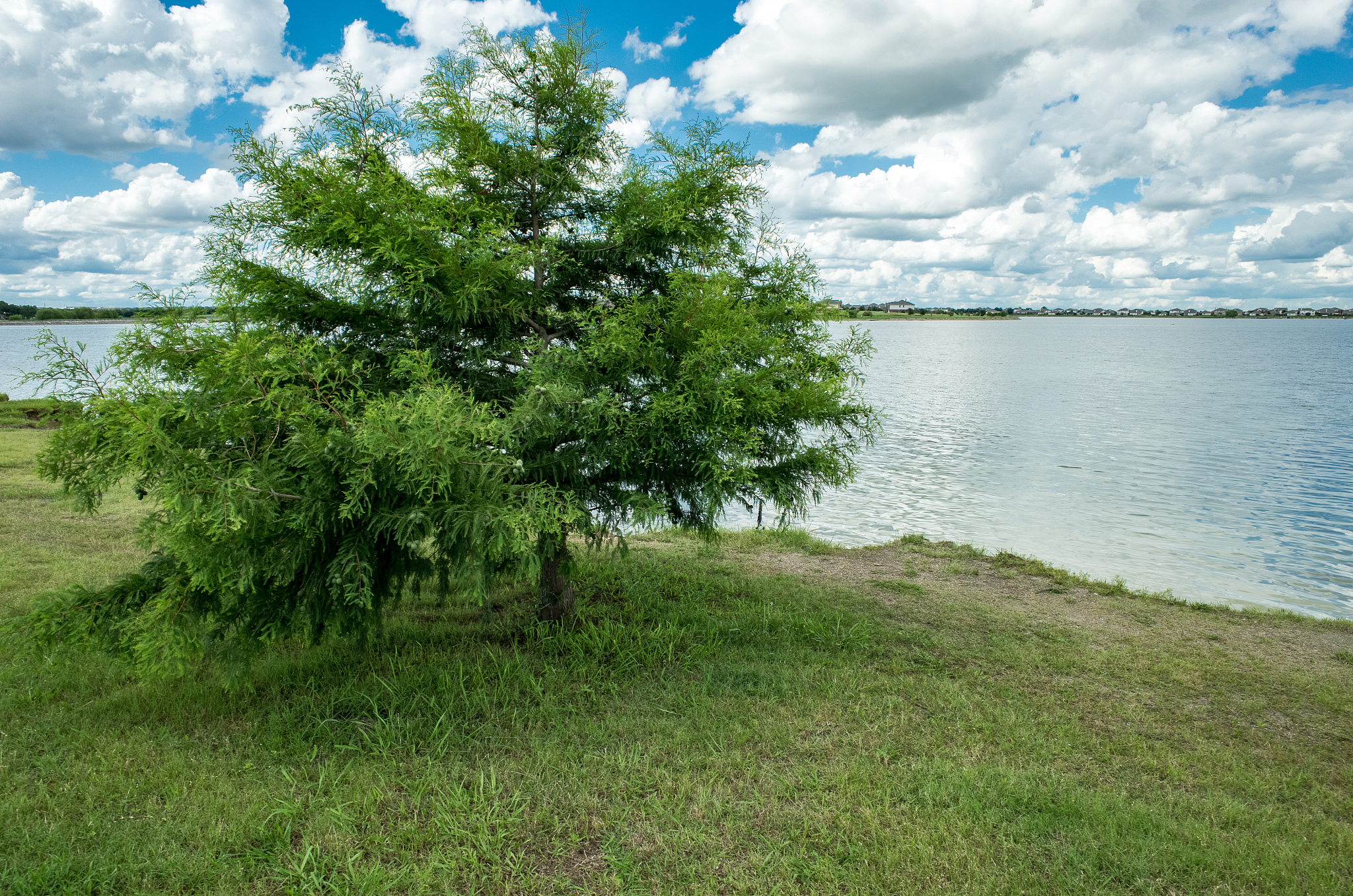 windows11 多个用户需要同时使用电脑 怎么操作