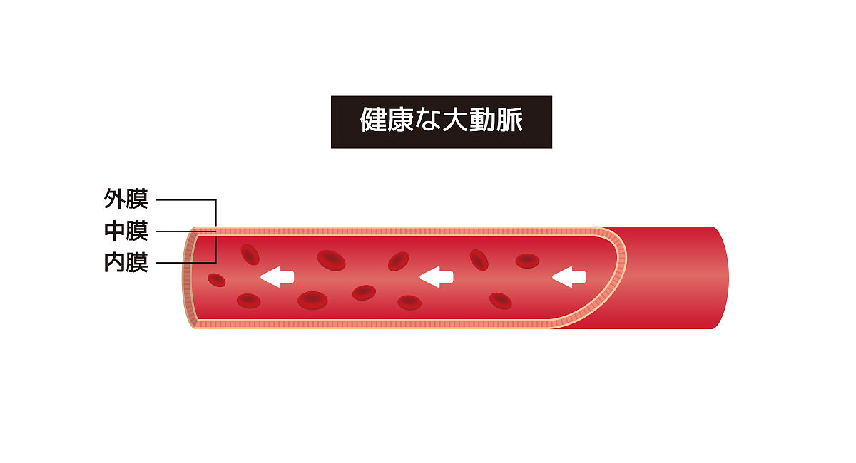 辽东学院日语专业就业方向及前景分析
