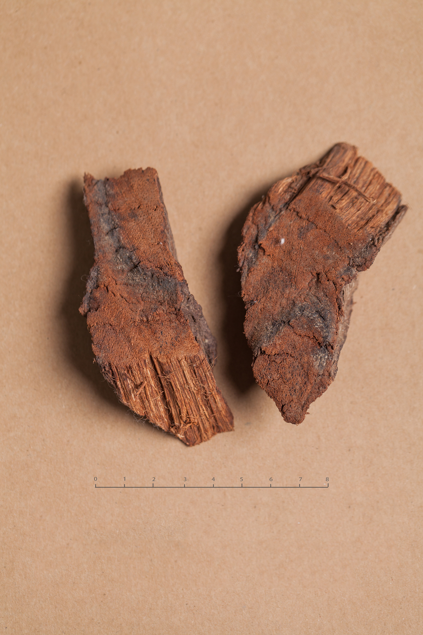 请不少于750汉字的博客文章语言要幽默口语化。主题是：鸡血藤手镯佩戴禁忌