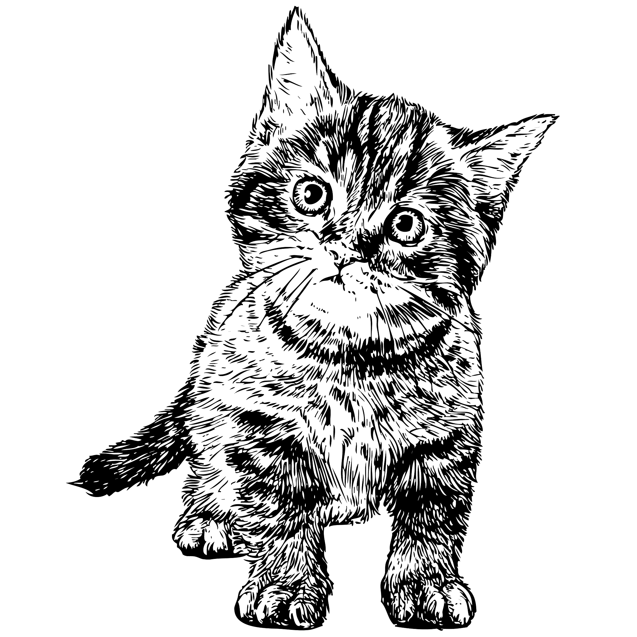 我给画一张猫的图片