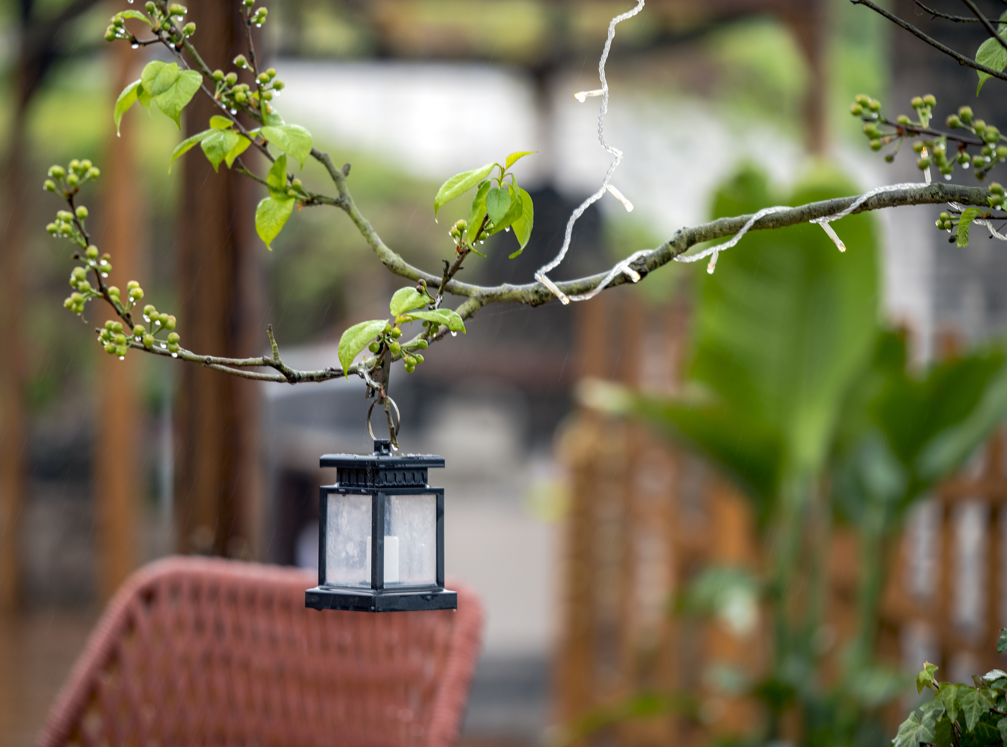 特色民宿财务预算：300字详解收入、支出和利润