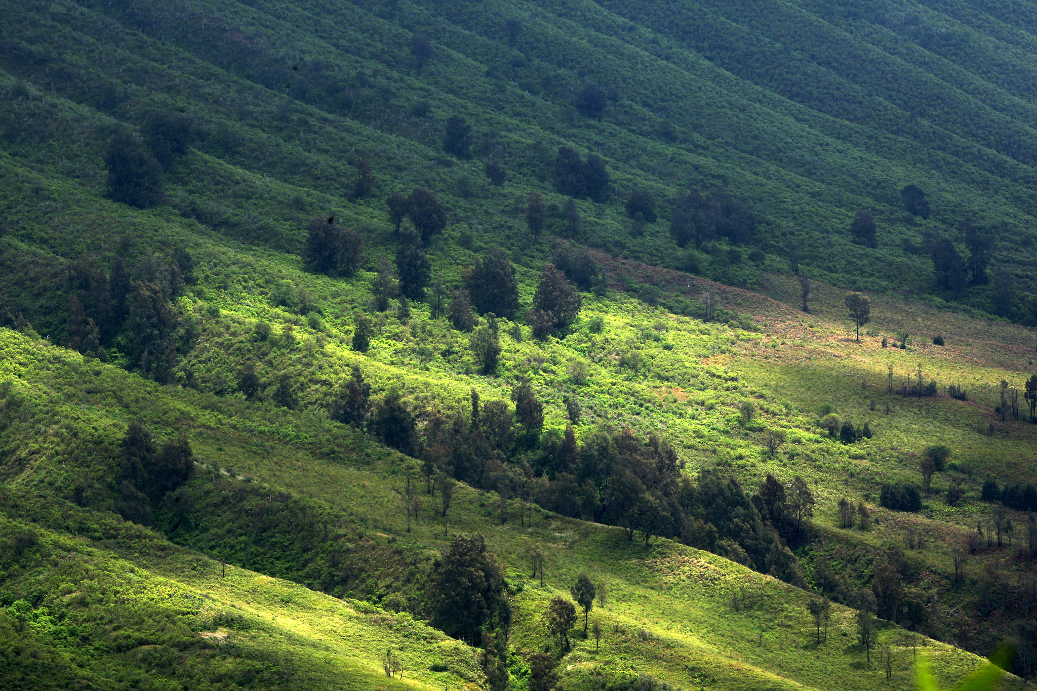 valley