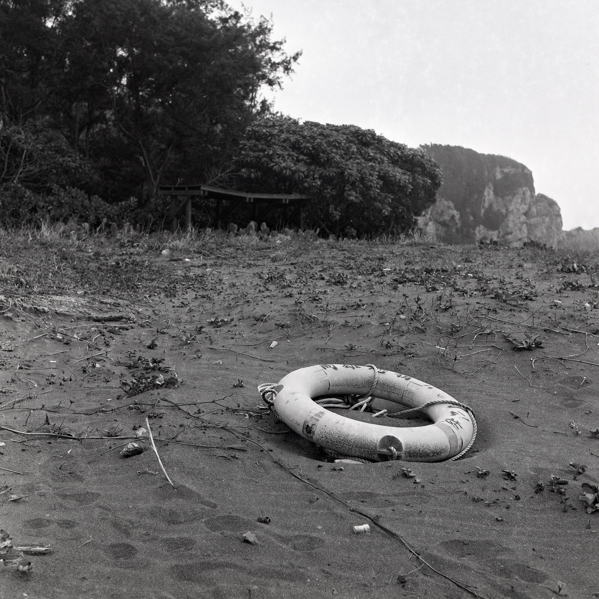 简述罗斯威尔农场事件始末