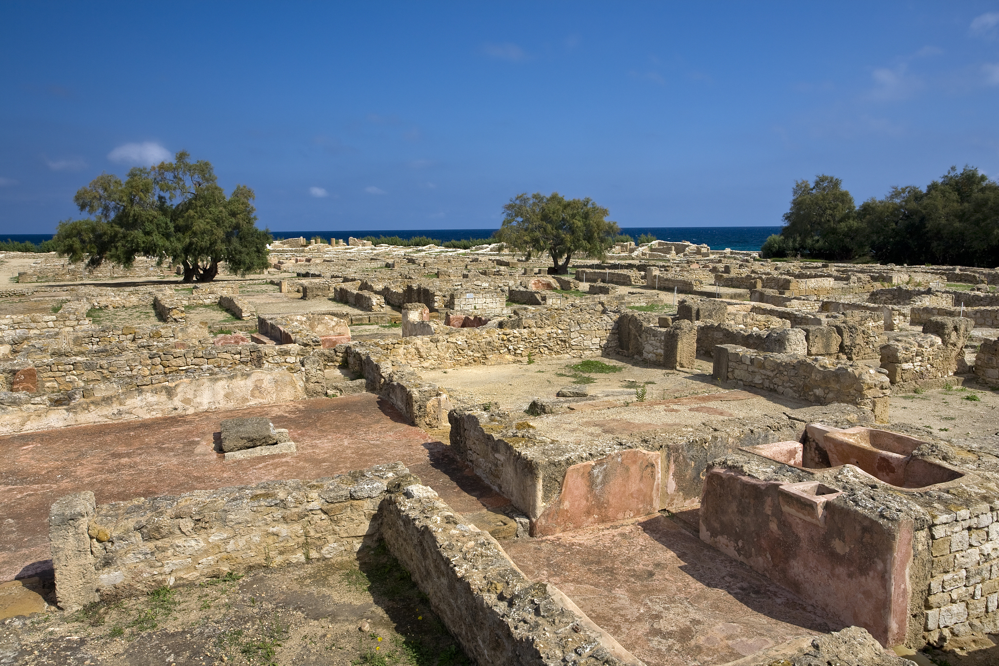 古代文明区域划分：五大文明区详解