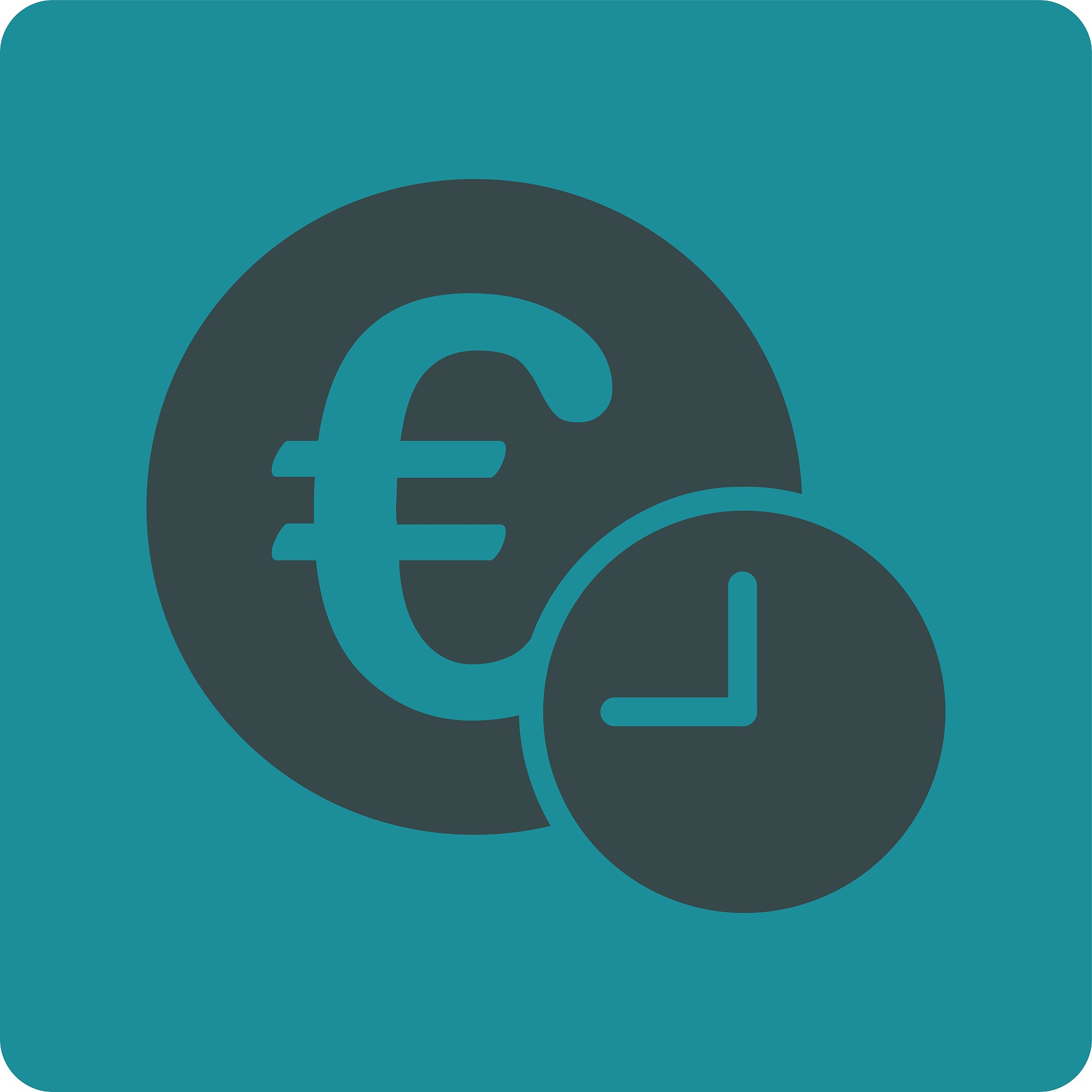 euro credit icon