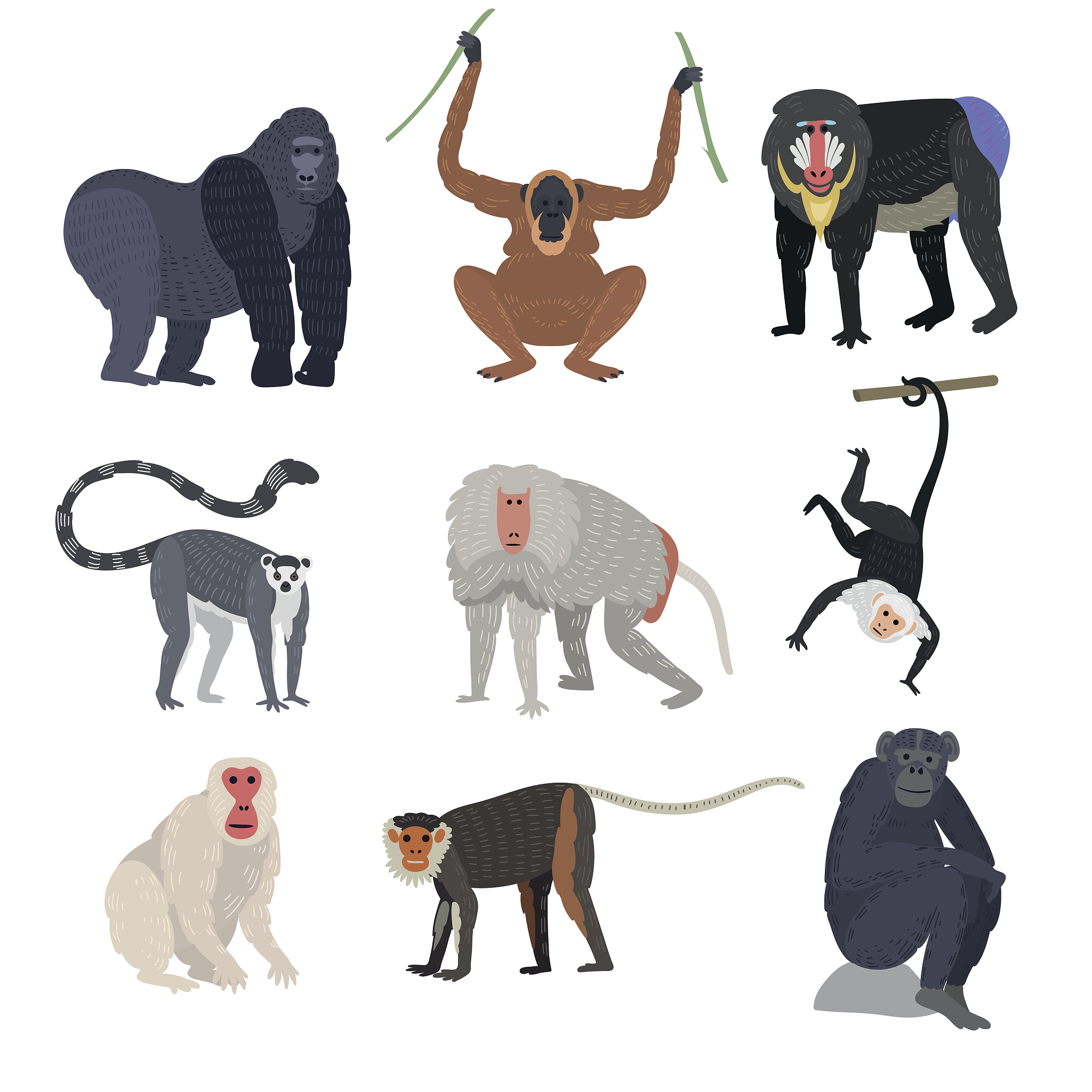 11	The	visual	cliff	experiments	suggest	thata	infants	have	not	yet	developed	depth	perceptionb	crawling	human	infants	and	very	young	animals	perceive	depthc	we	have	no	way	of	knowing	whether	infants	c