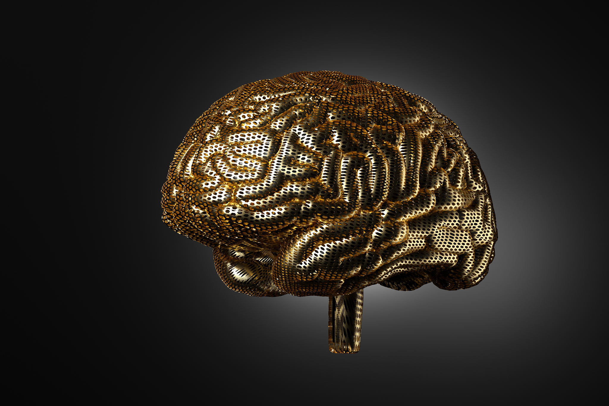 大脑可塑性的应用