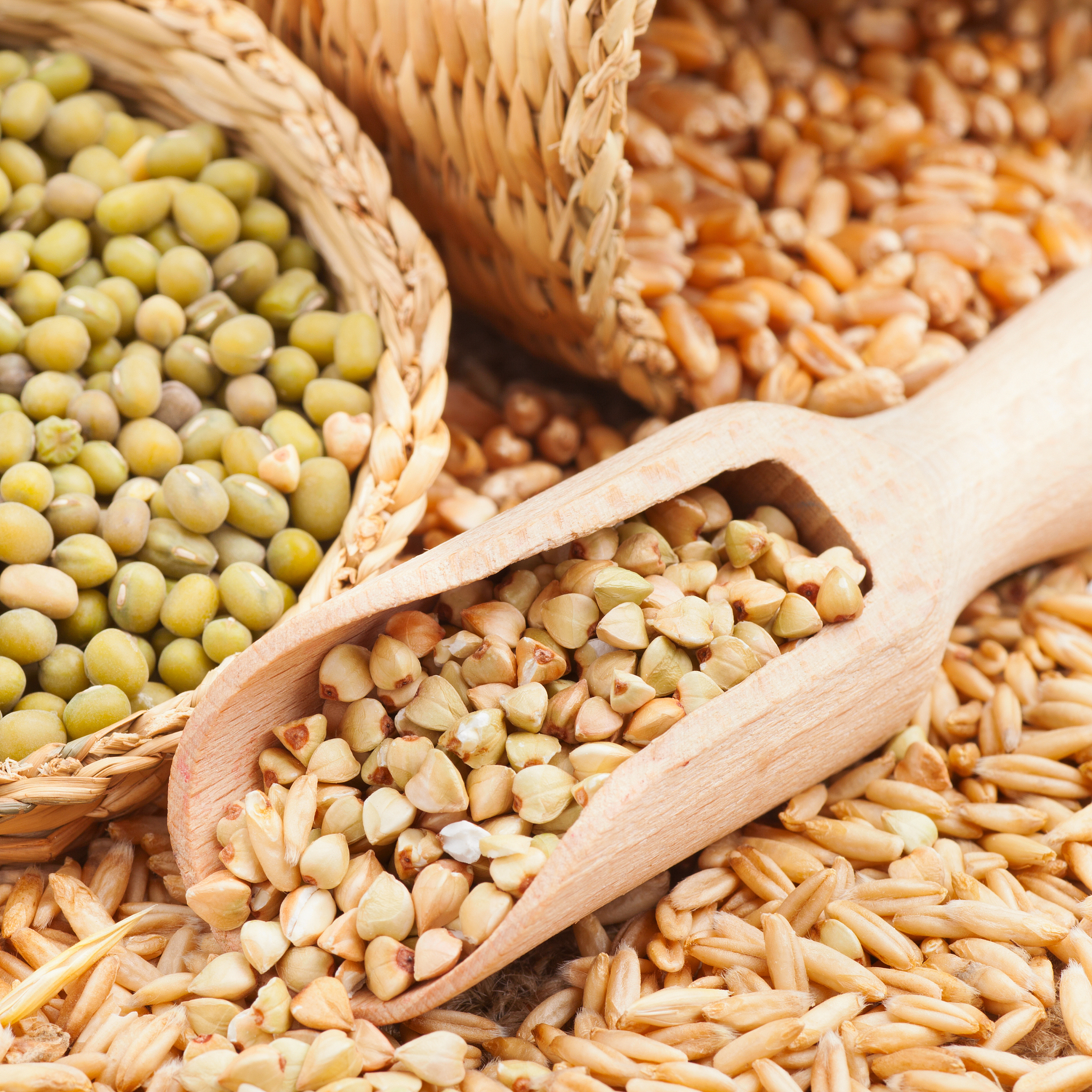 green buckwheat, wheat, oat and mung