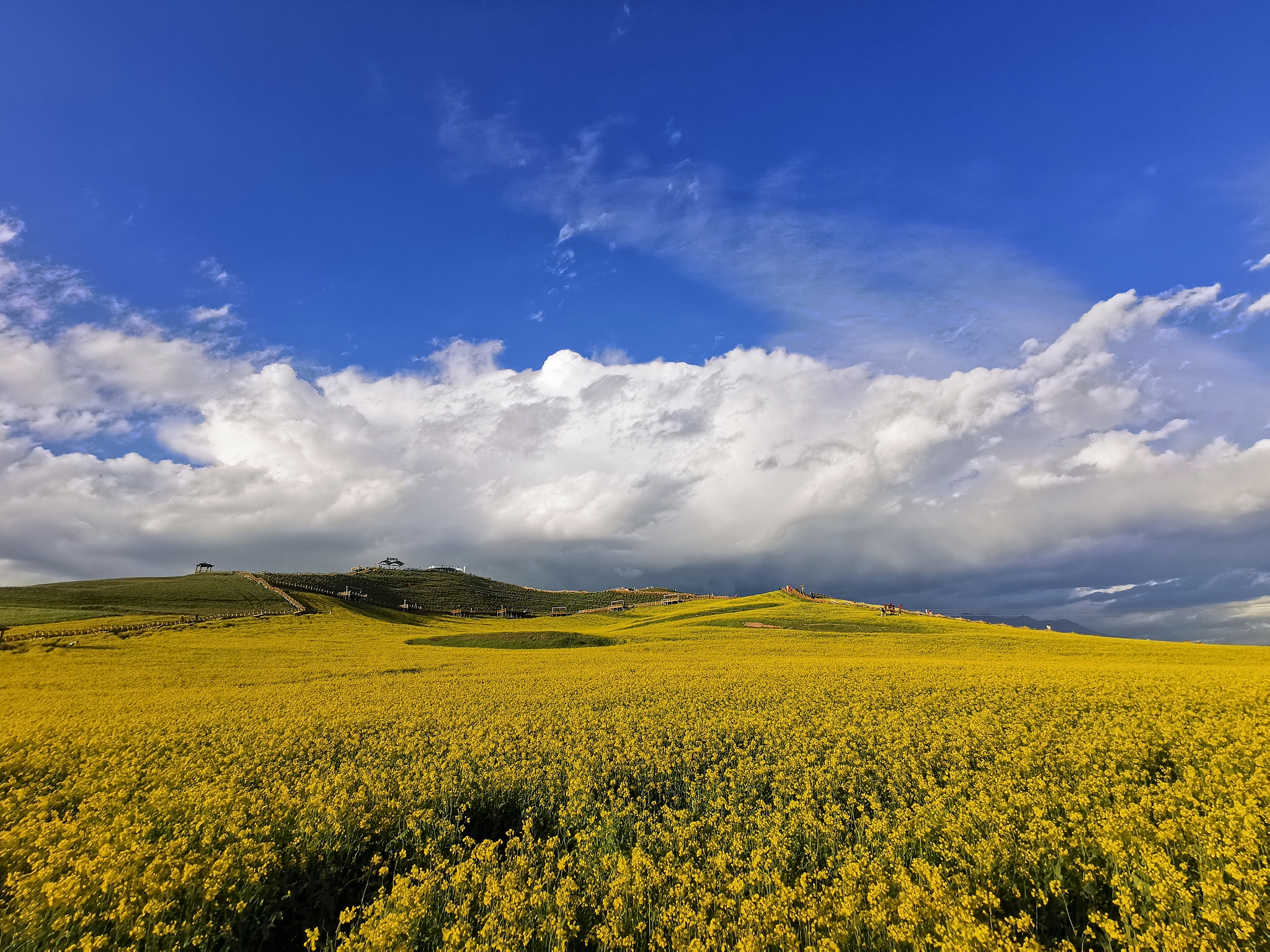 2022年青海省门源职校招生专业及介绍-助力未来职业发展