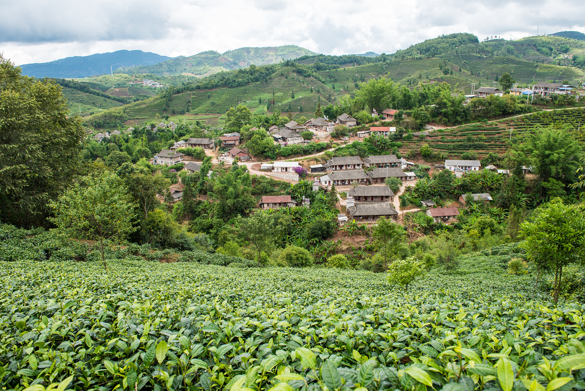 云南农业职业学院2019年五年一贯制大专计划内招生专业