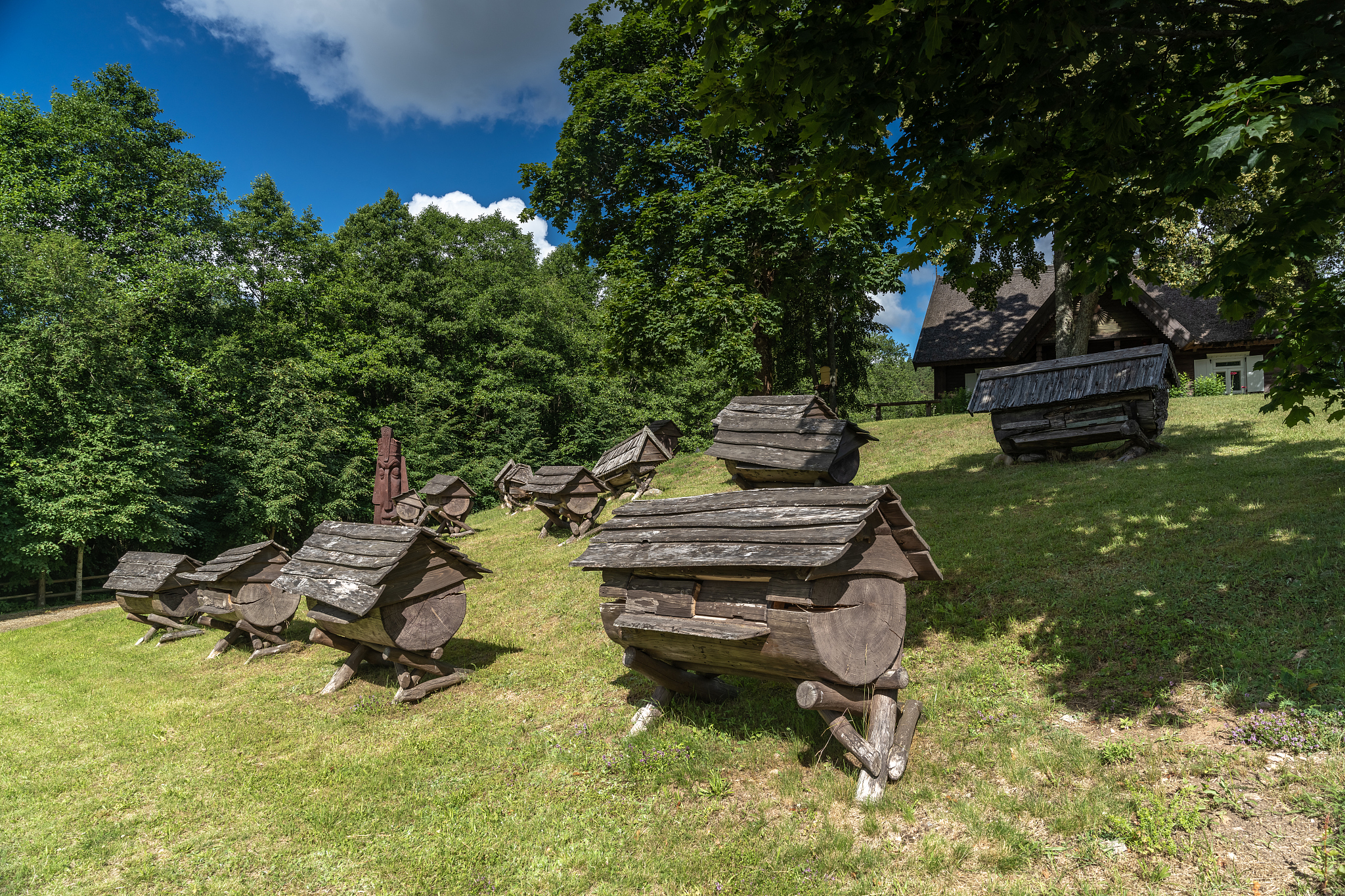 设计一个带有威尔的农业品牌