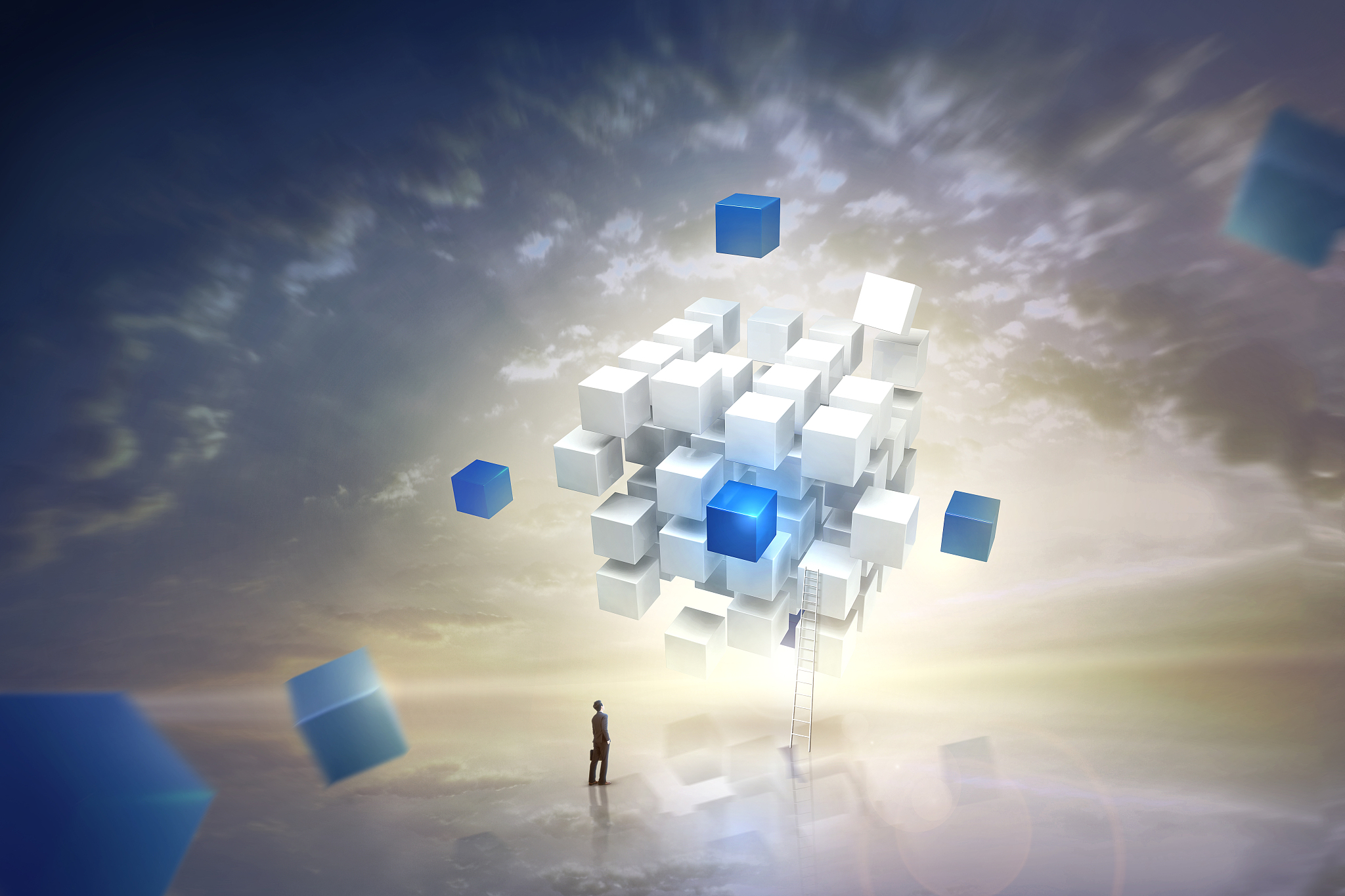 3d business 006