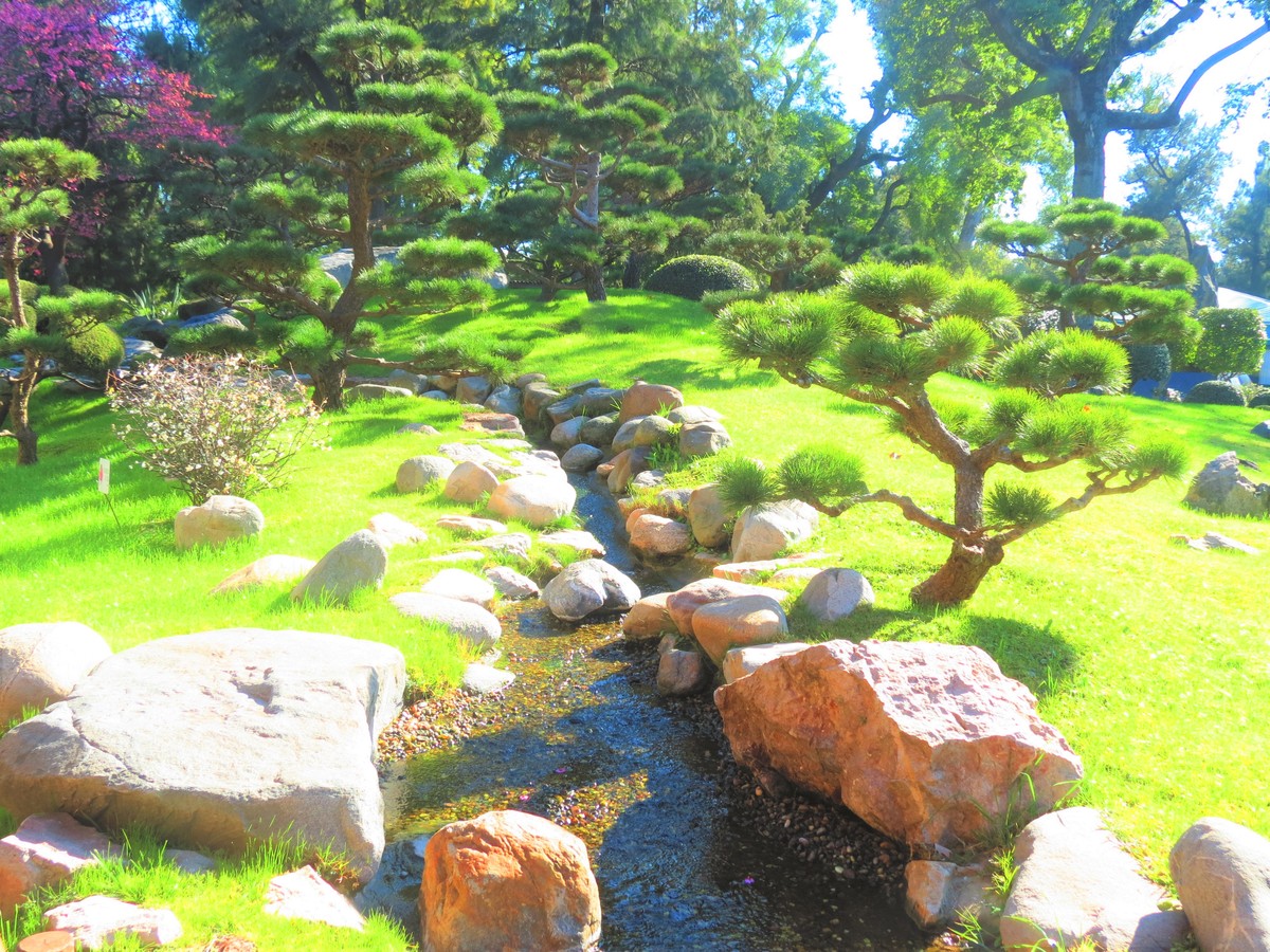 造景技巧大全：从规划到灯光，打造迷人景观